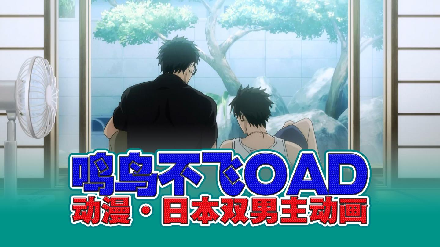 双男主动漫推荐丨日本动画电影鸣鸟不飞oad超甜的恋爱故事