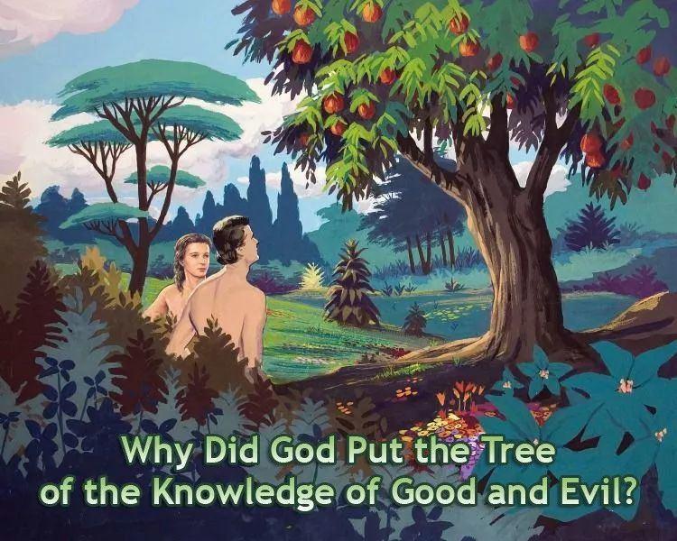 伊甸园里的生命树和善恶树,和耶稣有什么关系?