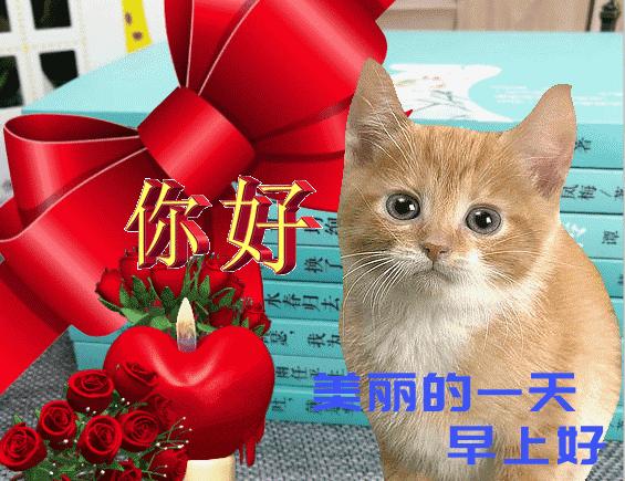 3月最新版群发早晨好问候祝福图片2022春天最美早上好动画祝福带字