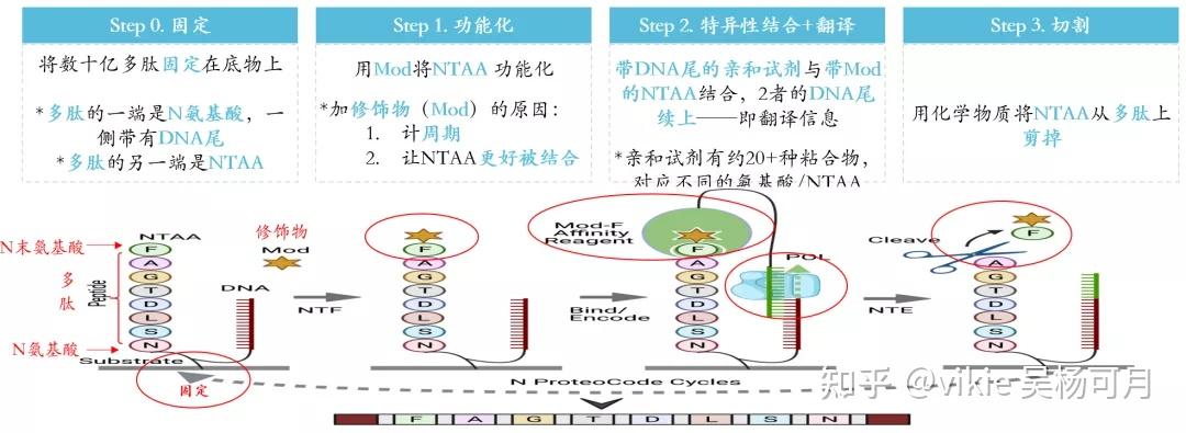 生物信息学中基因组学蛋白组学代谢组学差别有多大