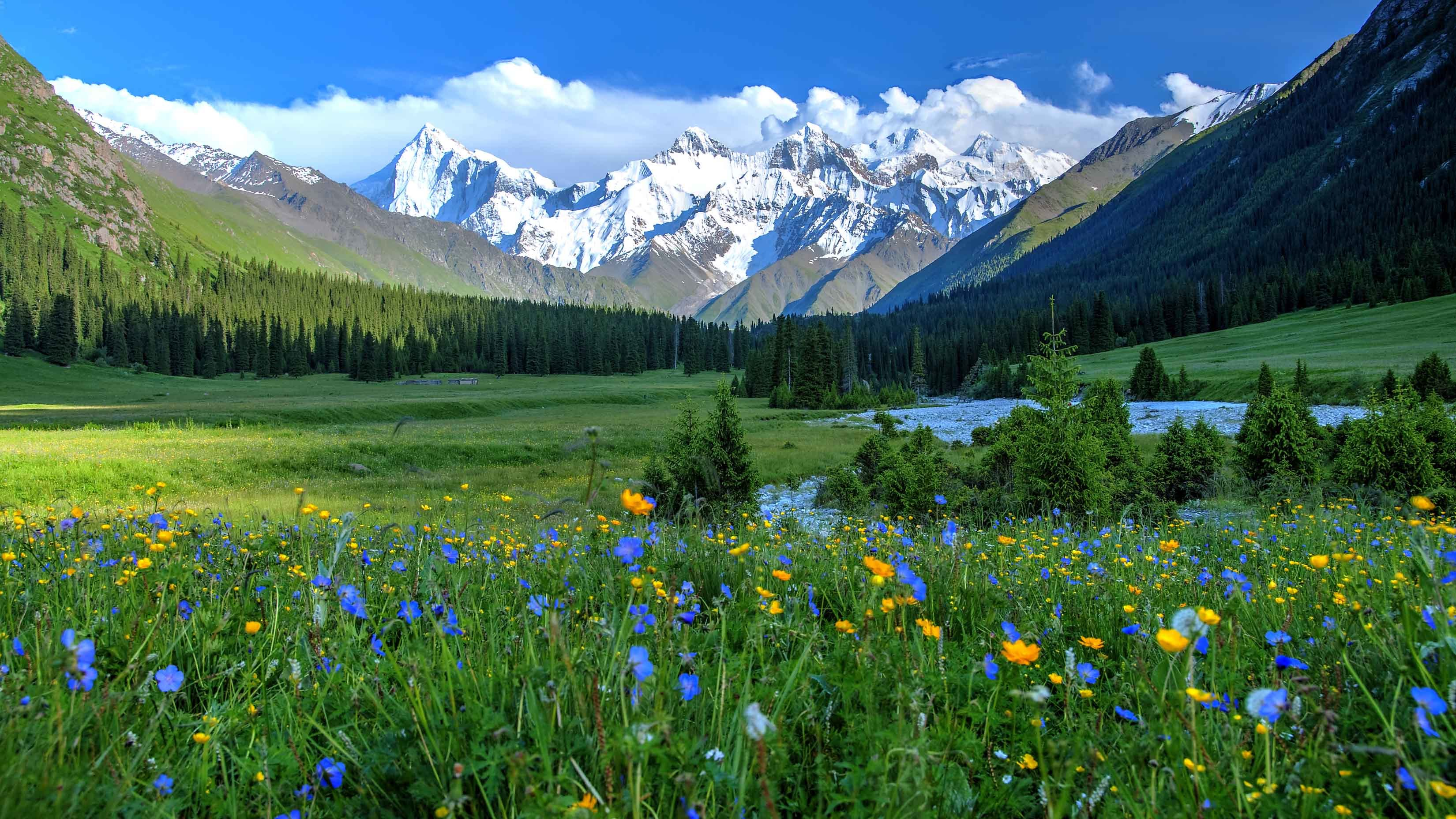 新疆伊犁的夏塔旅游区值得一去吗