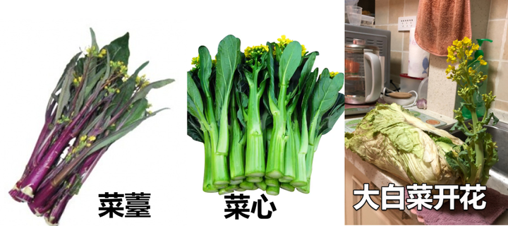 v2 f5a82c7453e3edcbcec94eb1b769b3b6 720w