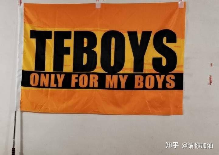 哪位姐妹有tfboys应援图,就那个有大旗的,谢谢!