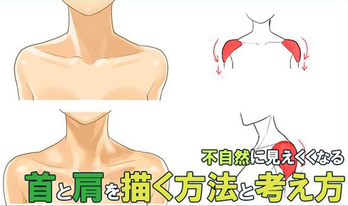 在描绘人物的时候一定要成为重点的是从脖子到肩膀的部分,脖子的画法
