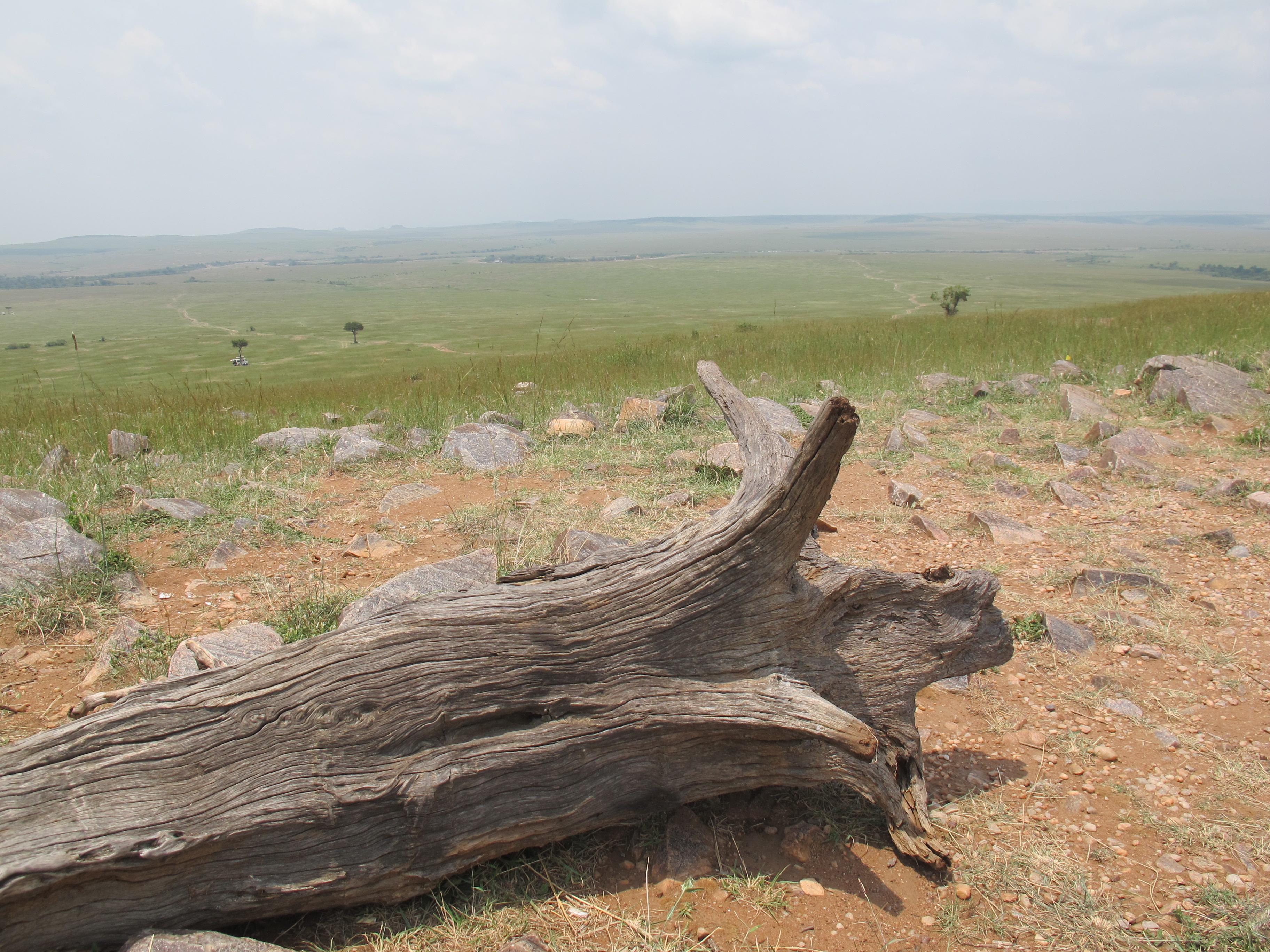 到非洲旅行带 8 岁小朋友同行有哪些需要注意的事项?