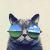 Zhihu profile picture for @musica