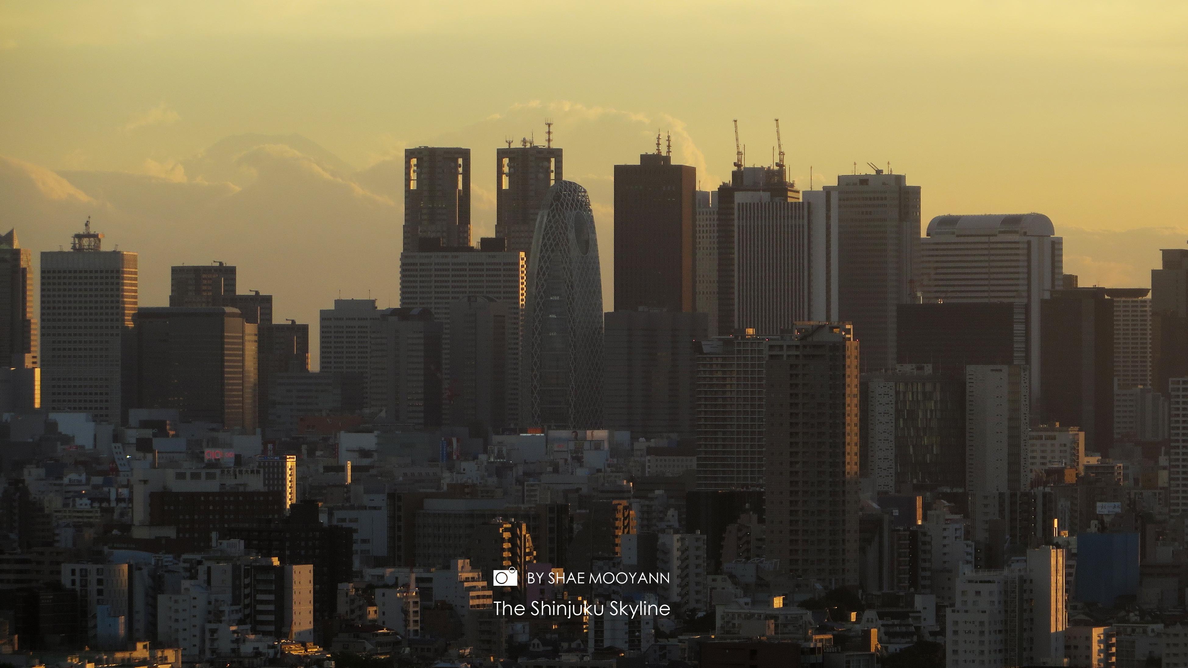 这个夏天最美的东京 - 知乎