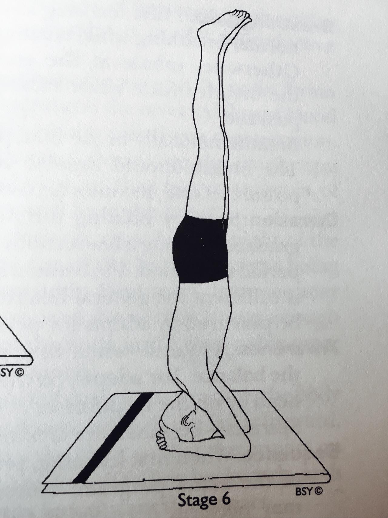 如何练习瑜伽头肘倒立