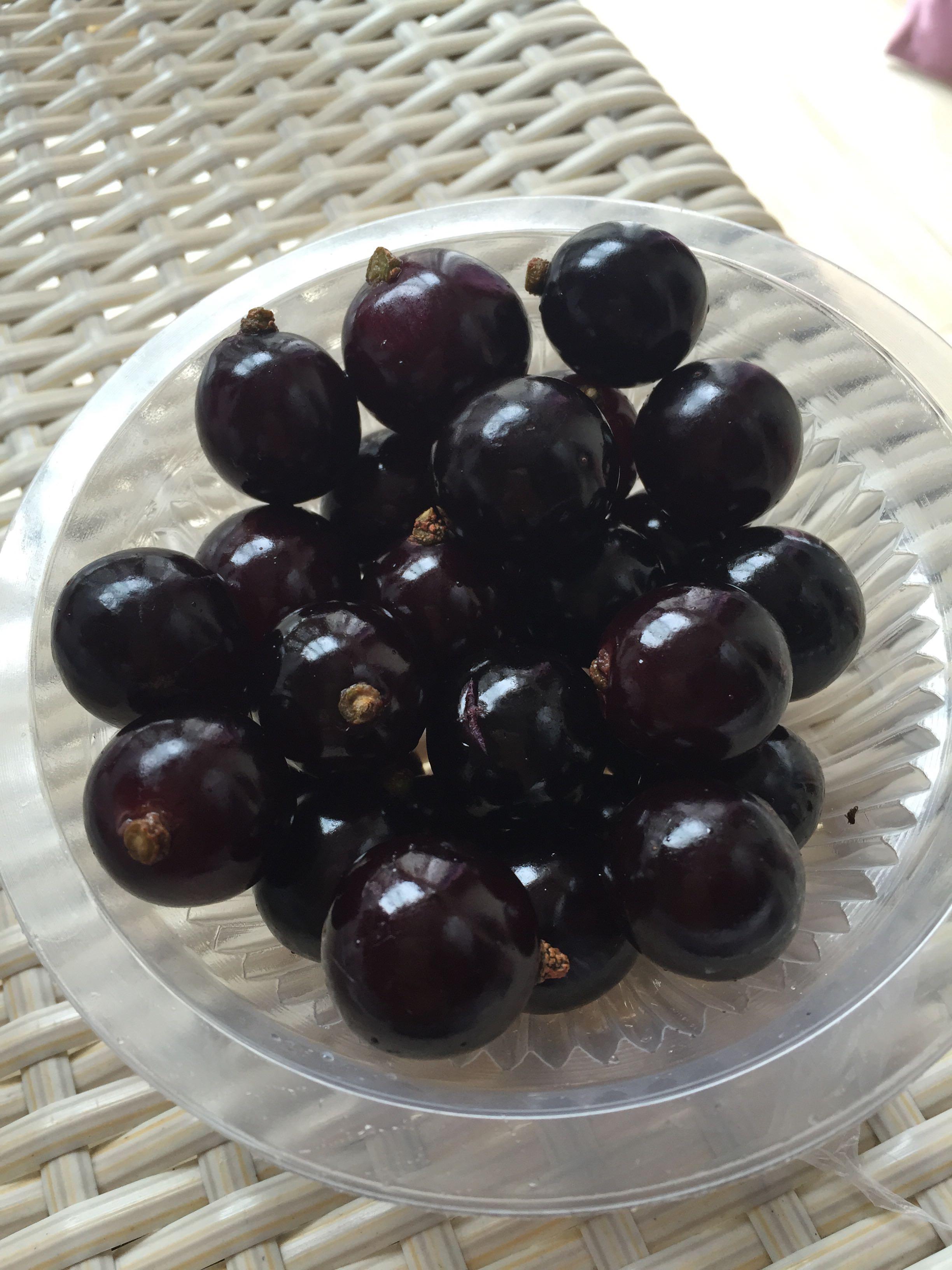 这个东西在浙江西塘买的他们说是乌梅但网上图片长的不像图在第一个