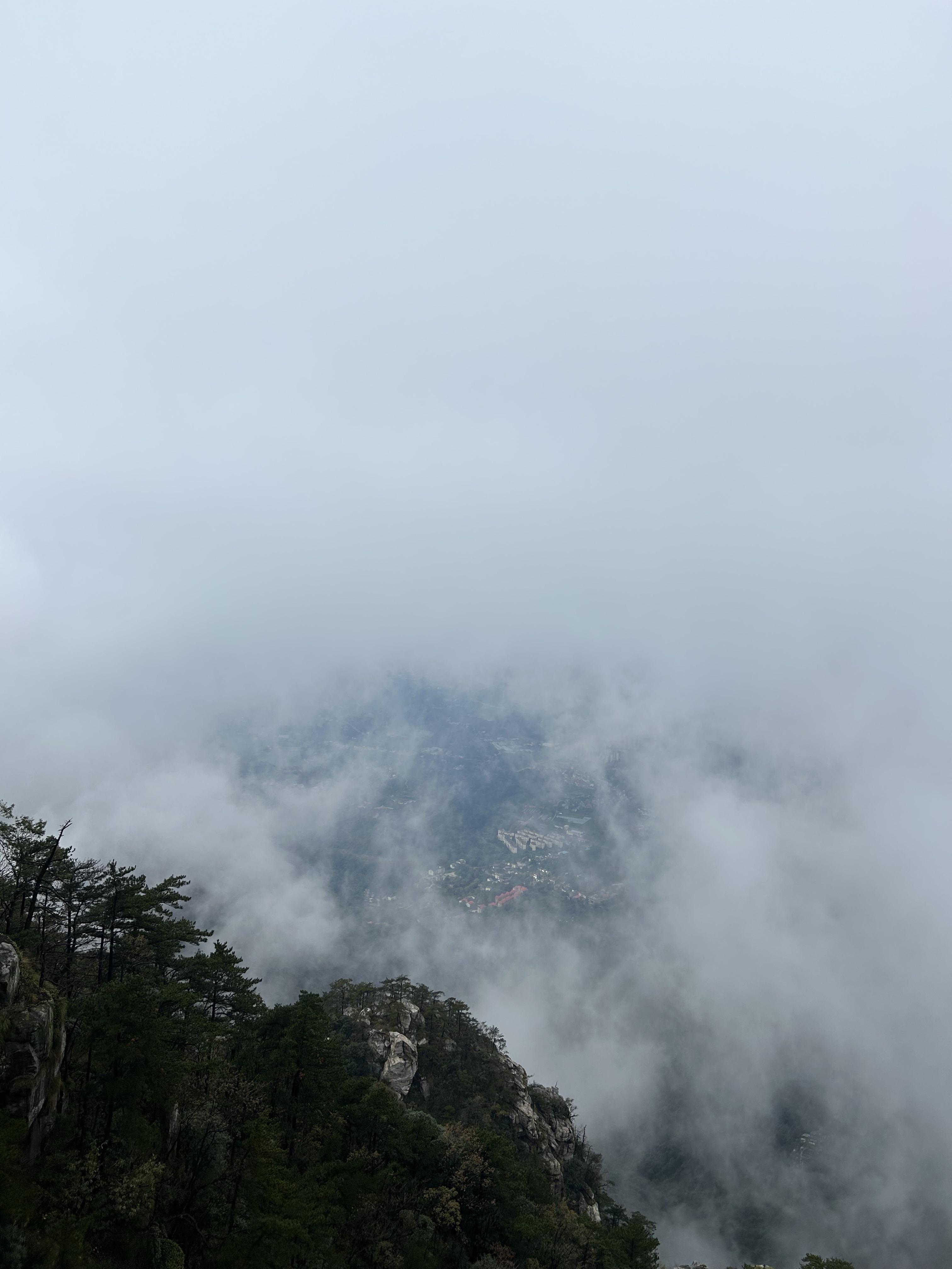 大鱼若明 的想法 雾锁山头山锁雾 7315目标技能:阳明心学 br>