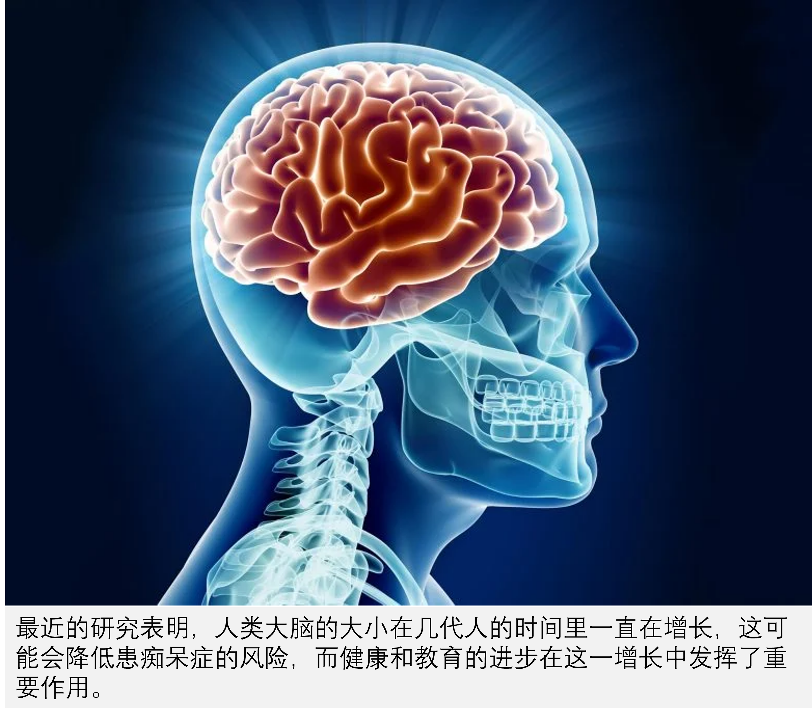 非凡科普 的想法: 大脑的进化