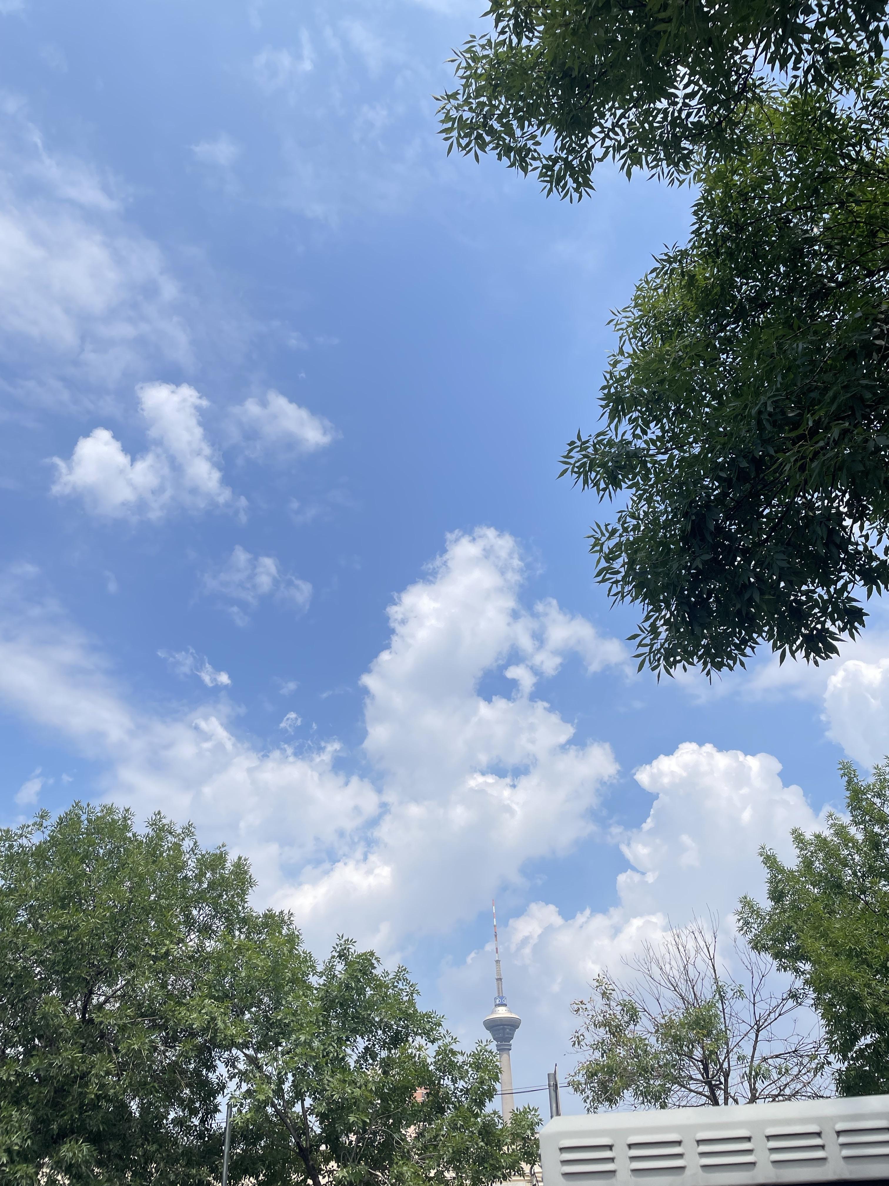 安安 的想法: 变幻莫测