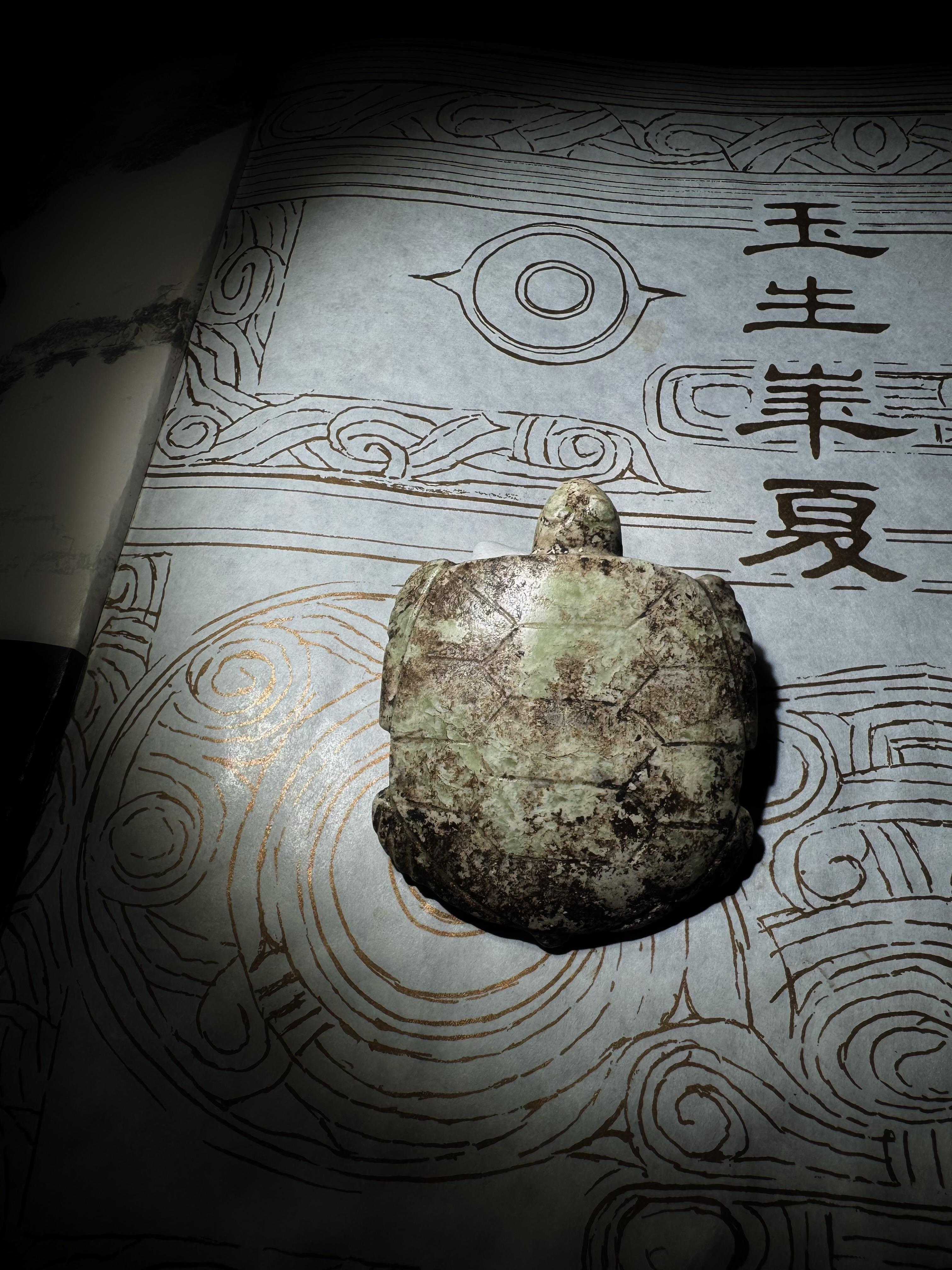陆号 的想法: 红山文化玉龟