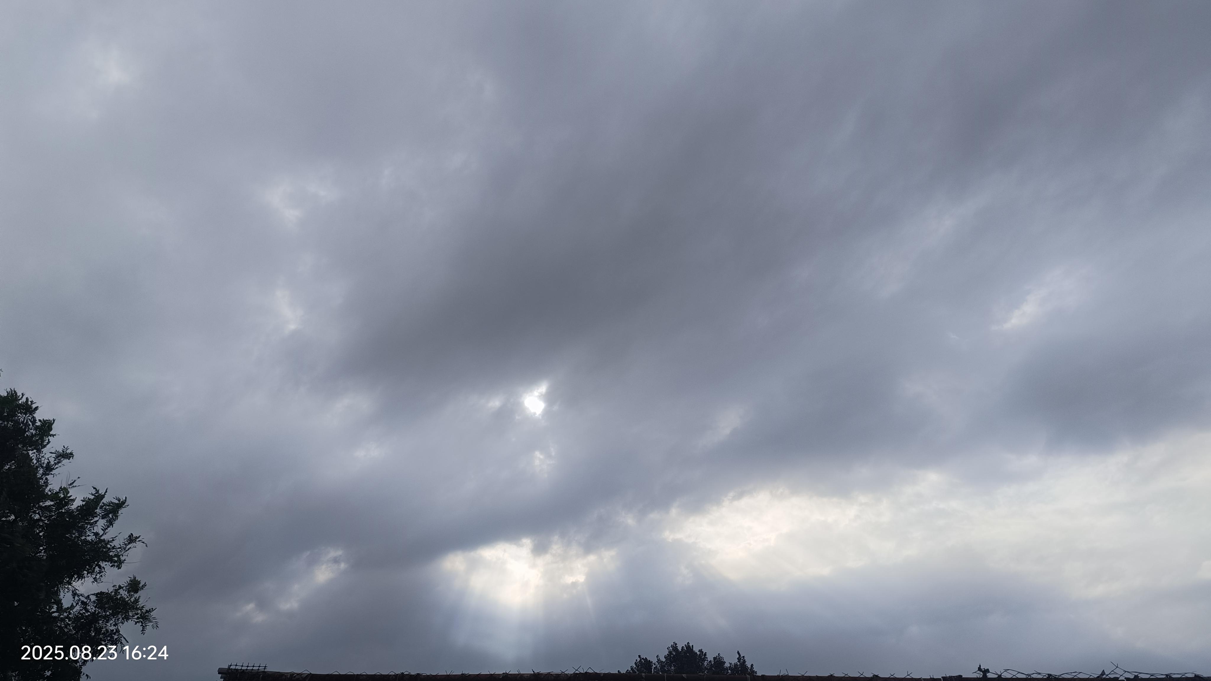 lpxlnn 的想法: 阳光总在风雨后