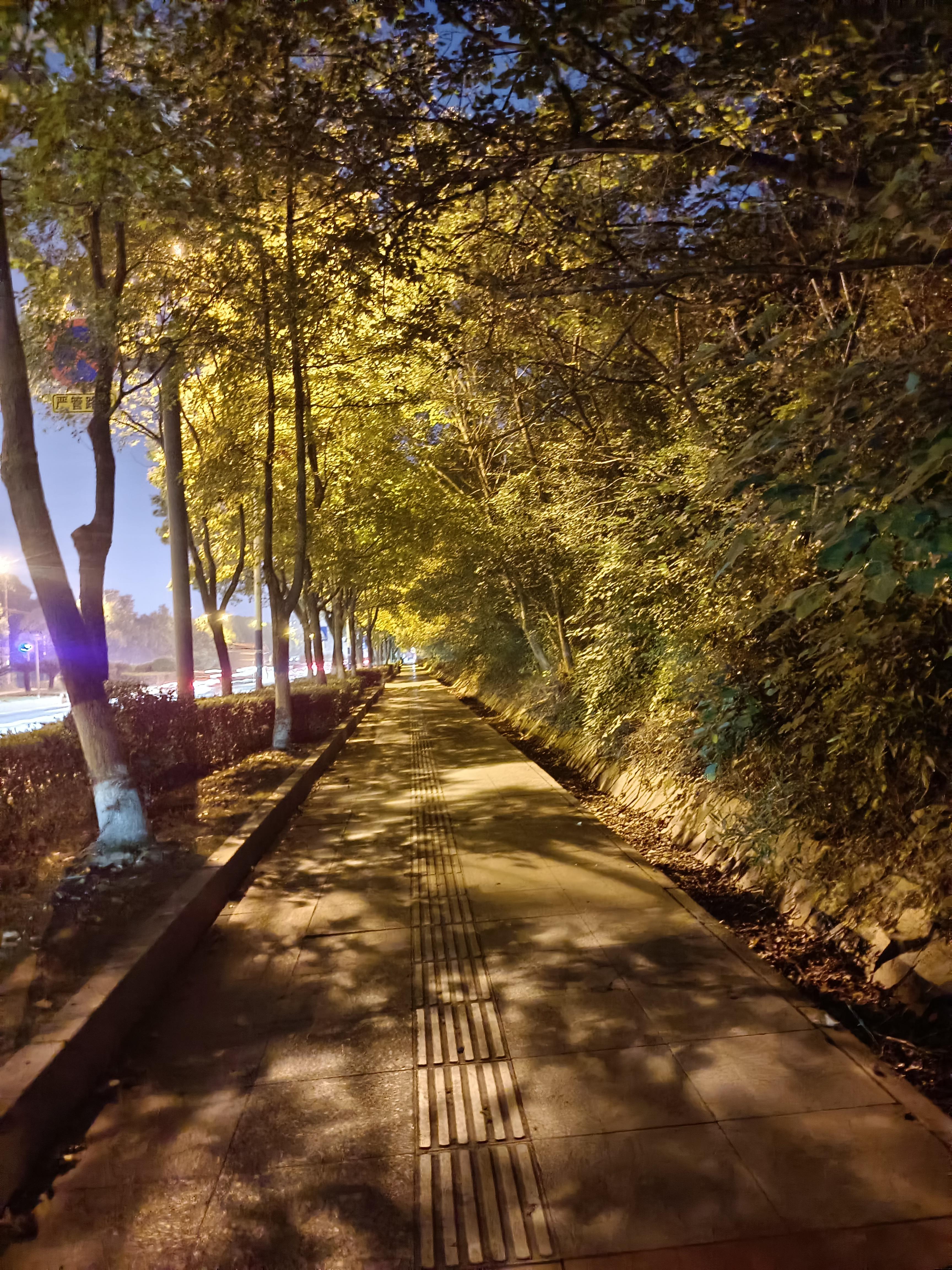 重拾4年前的夜跑习惯感受跑步途中曼妙夜色深秋扑鼻浓