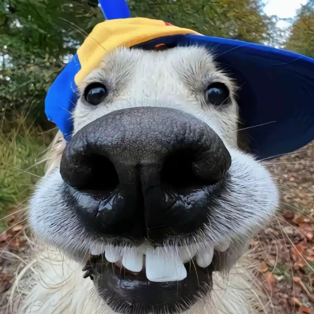 first lemon 的想法: 今天当个搞笑女