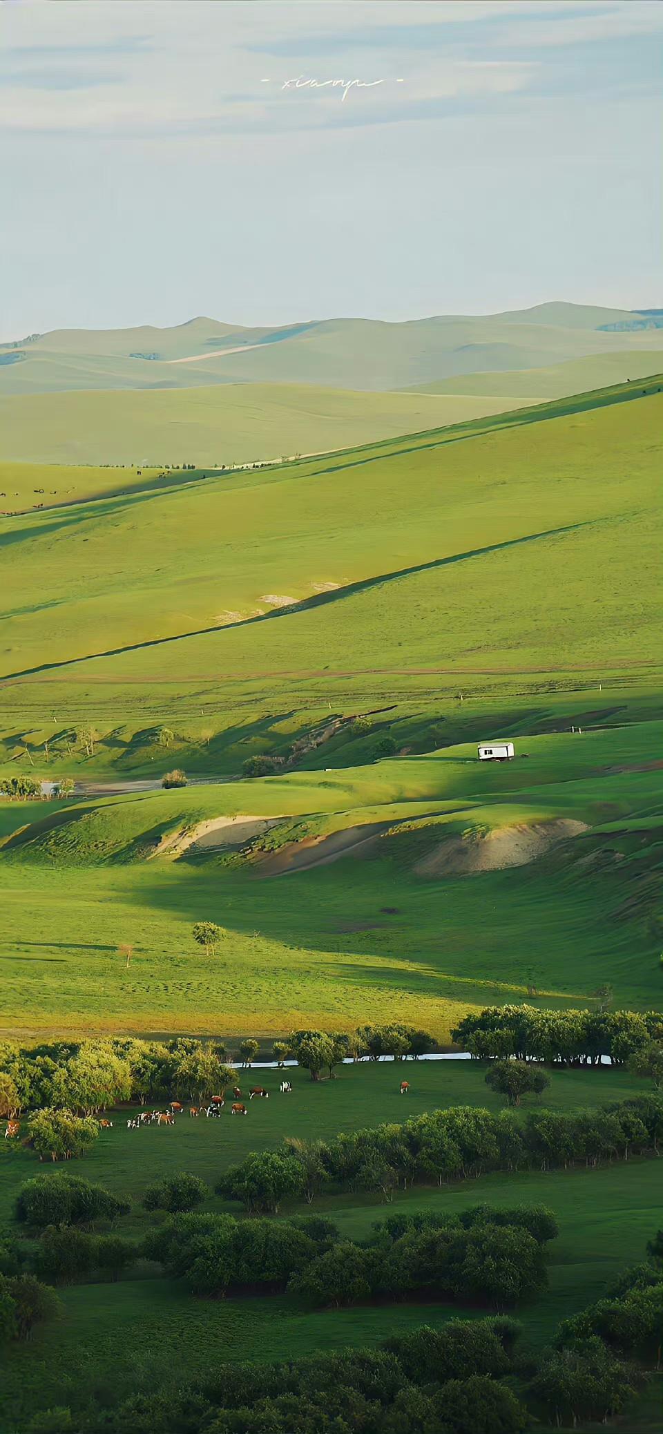 的想法: 绿色系壁纸分享|超惊艳的小众文案分享 | 慢慢走 沿途有风景