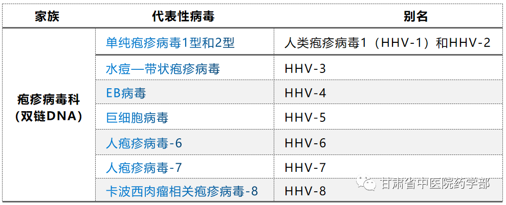  最近厉害的病毒排名表最新(2021年最强病毒排行榜)