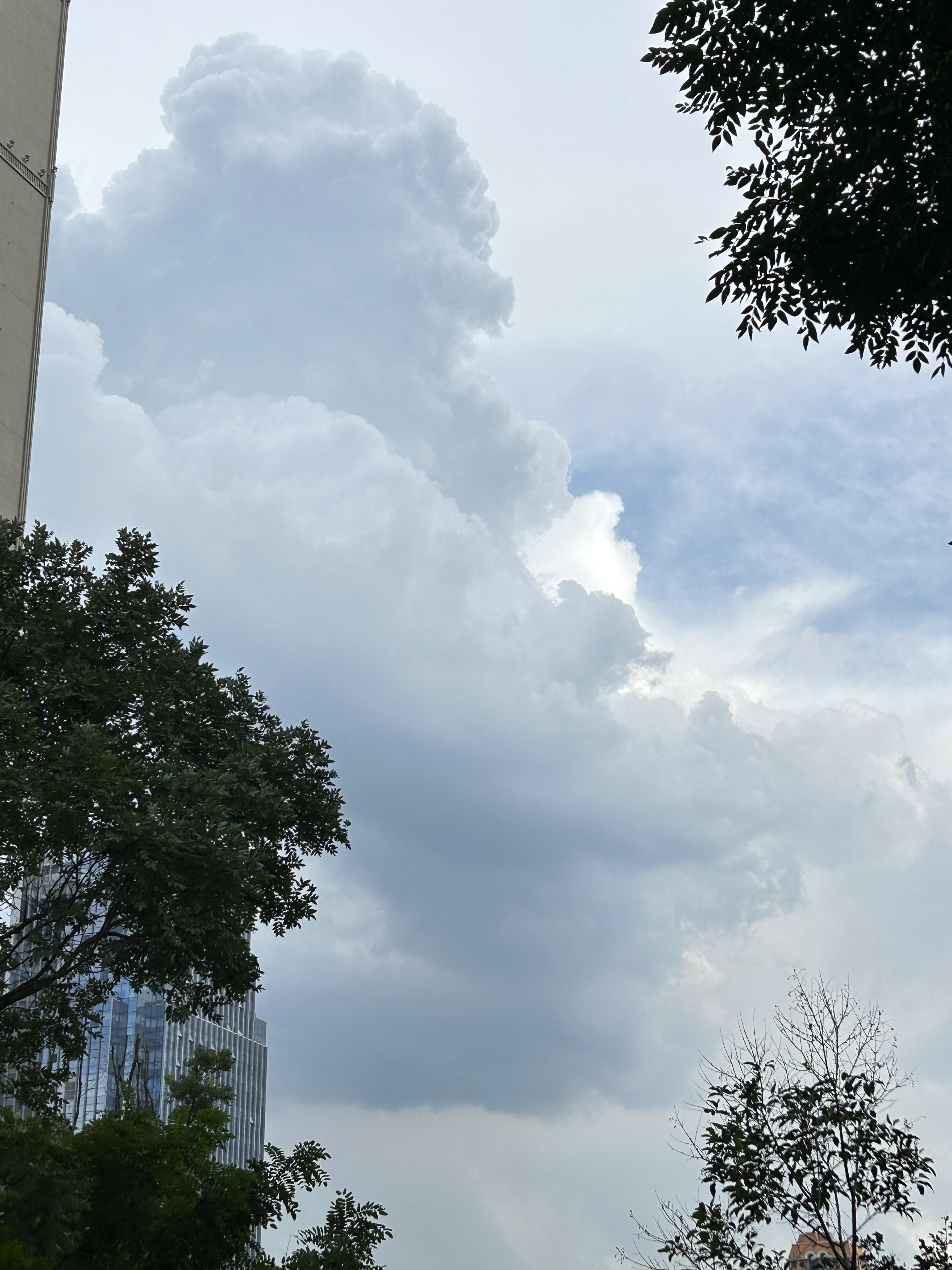 晒晒我家萌宠的肚皮 雨后天空湛蓝,下午不时有新生的云朵从山后爬上