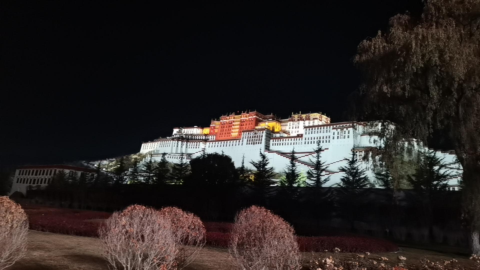 大魏哥 的想法: 布达拉宫夜景 