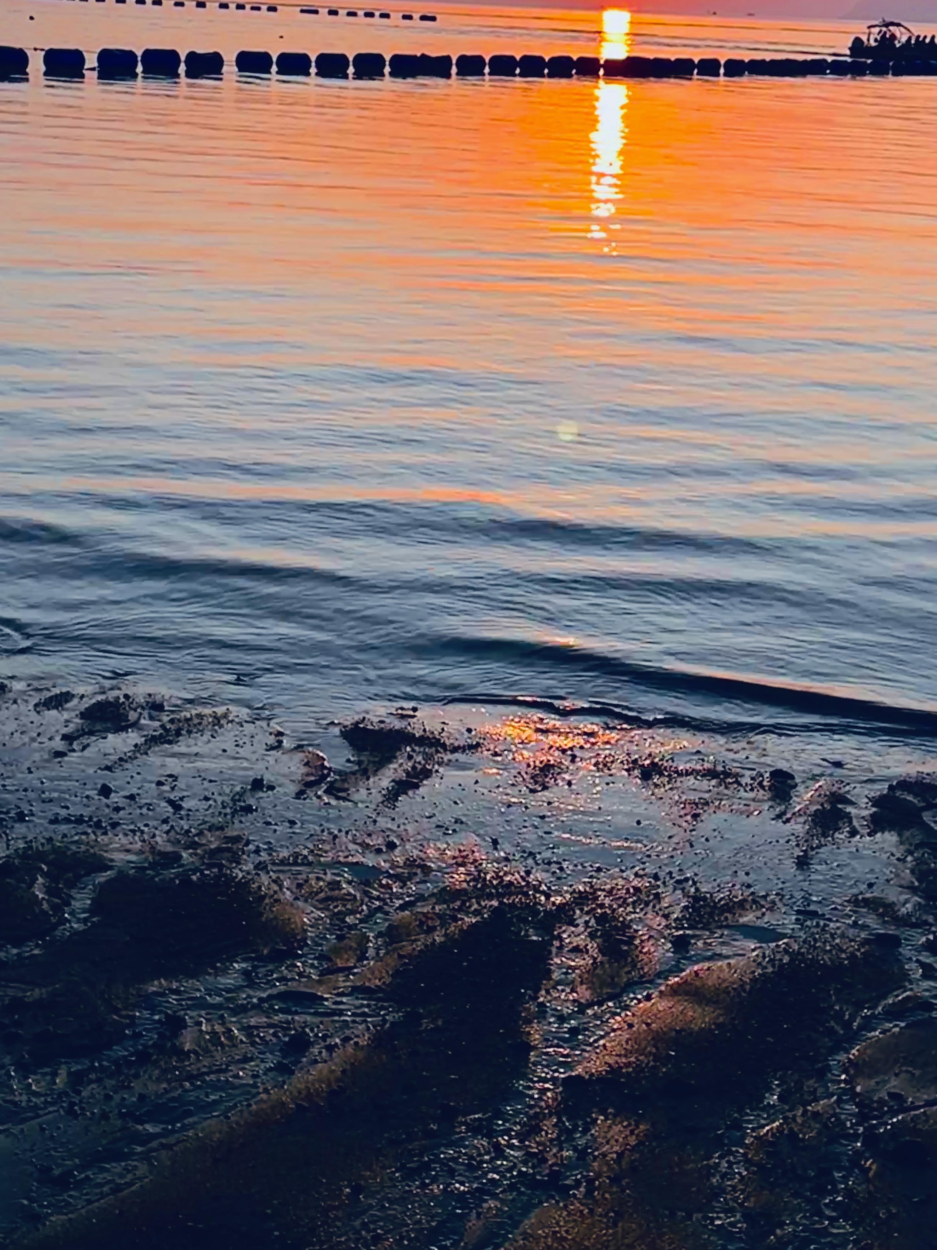 旅人日志 的想法: 一直觉得大海是最神秘的存在