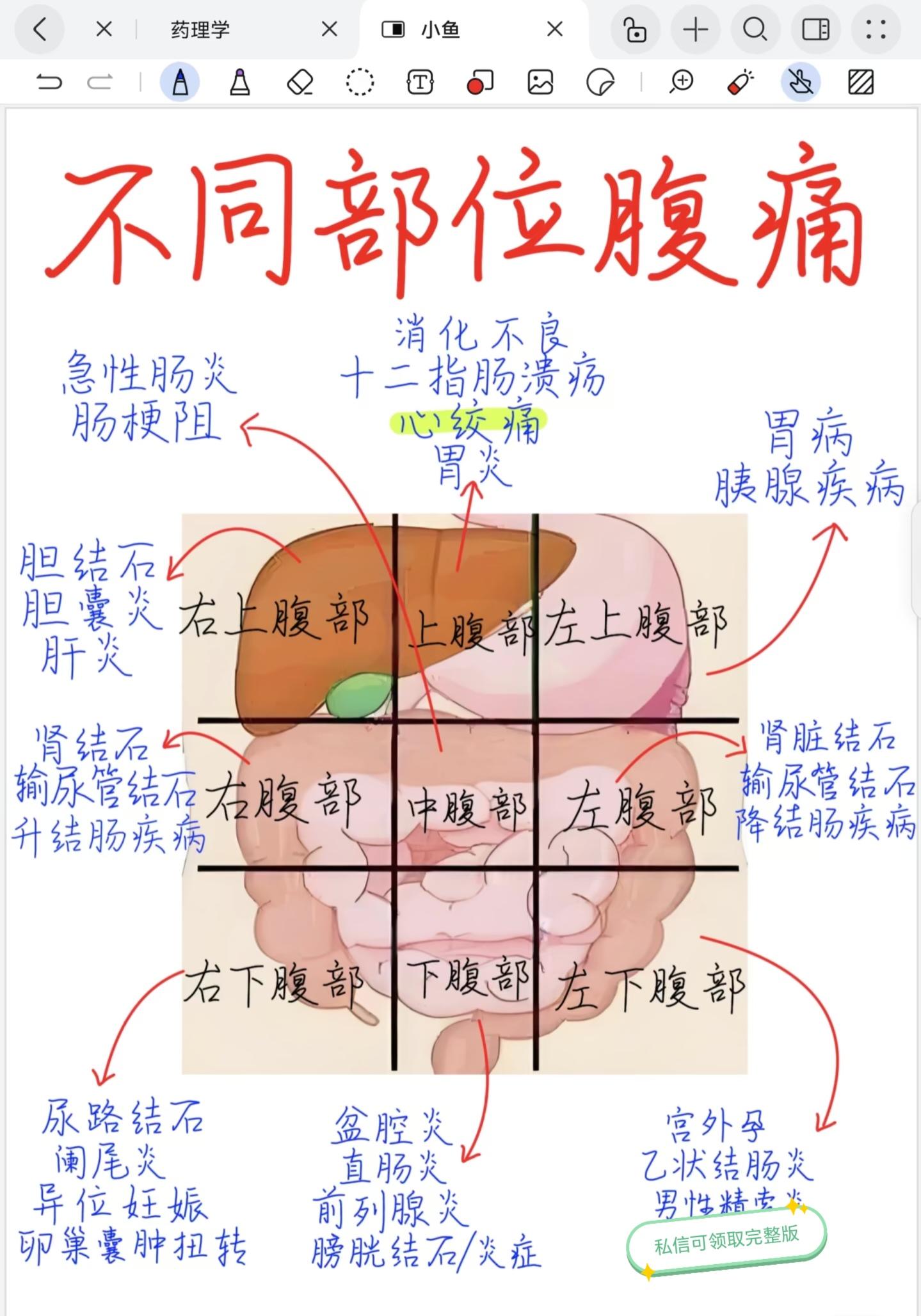 卫生资格考试傲娇 的想法: 不同部位腹痛