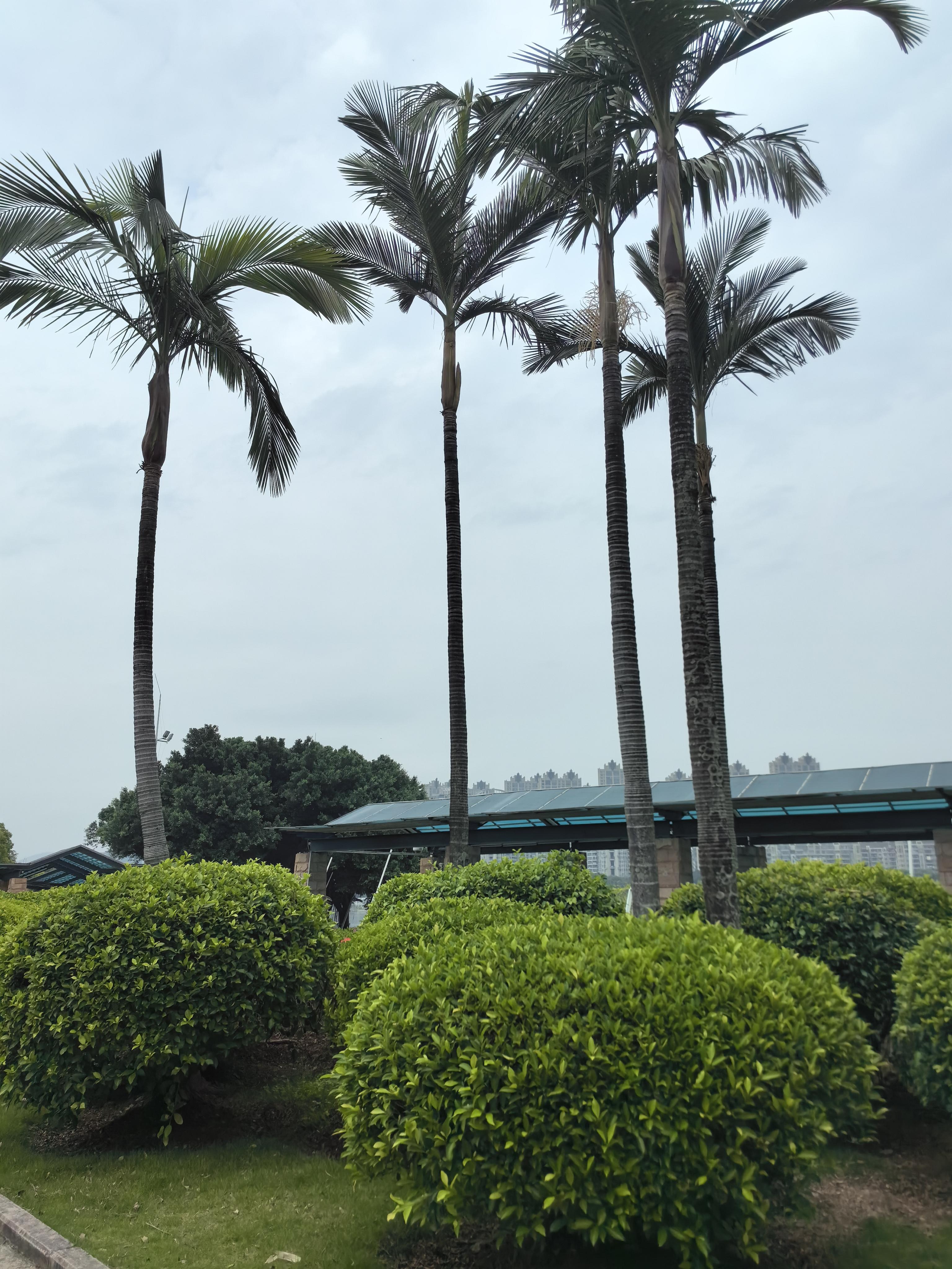 福州玉姐 的想法: 🔥随拍风景