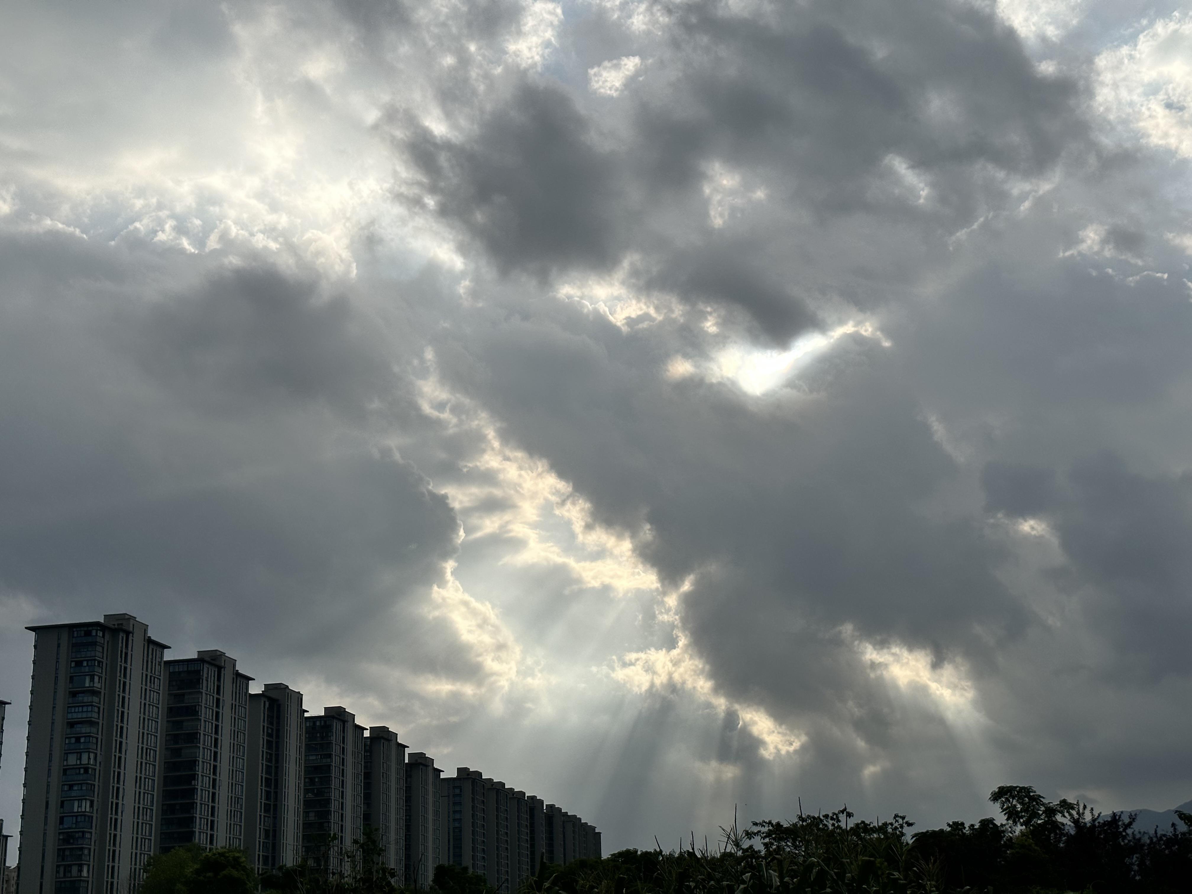 立早小柒 的想法: 藏着的万丈光芒