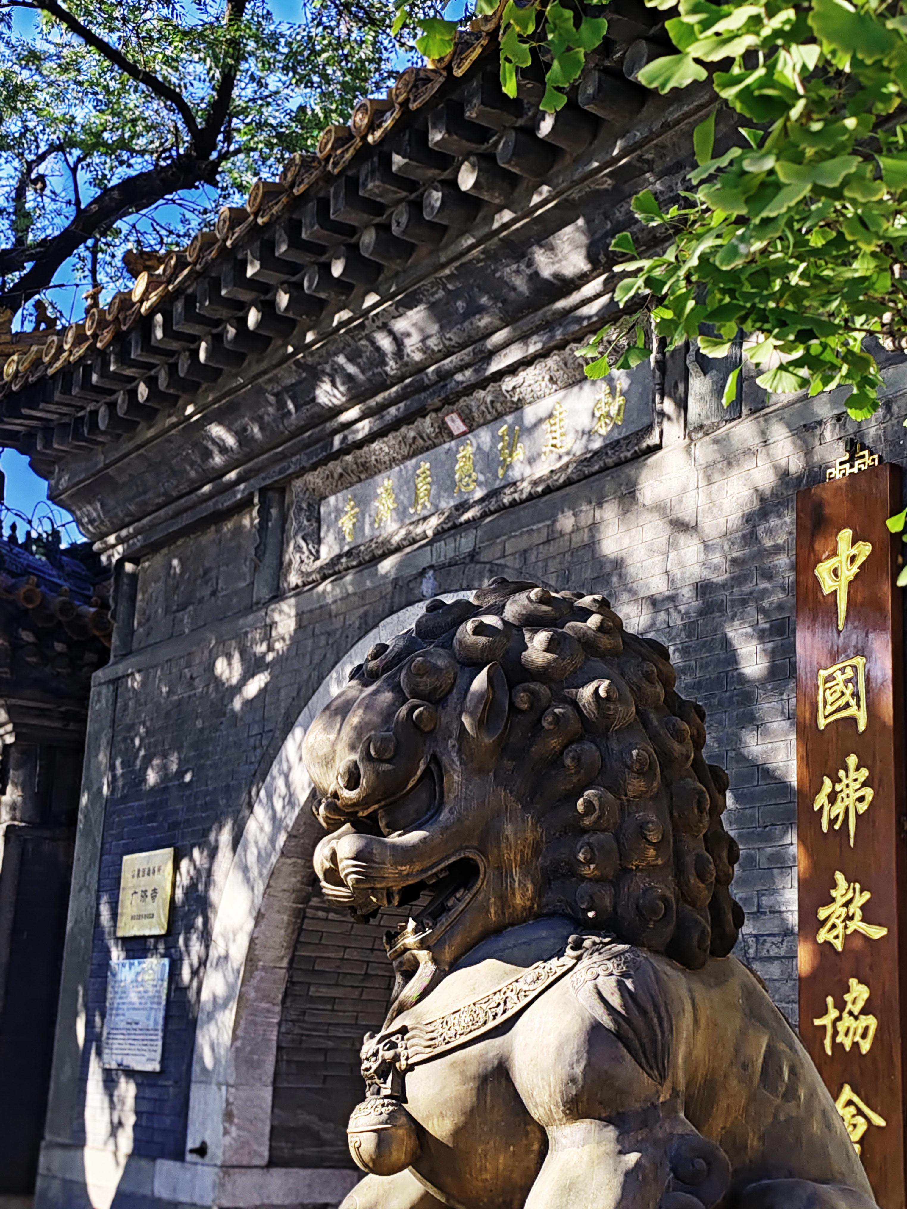 北京广济寺图片图片