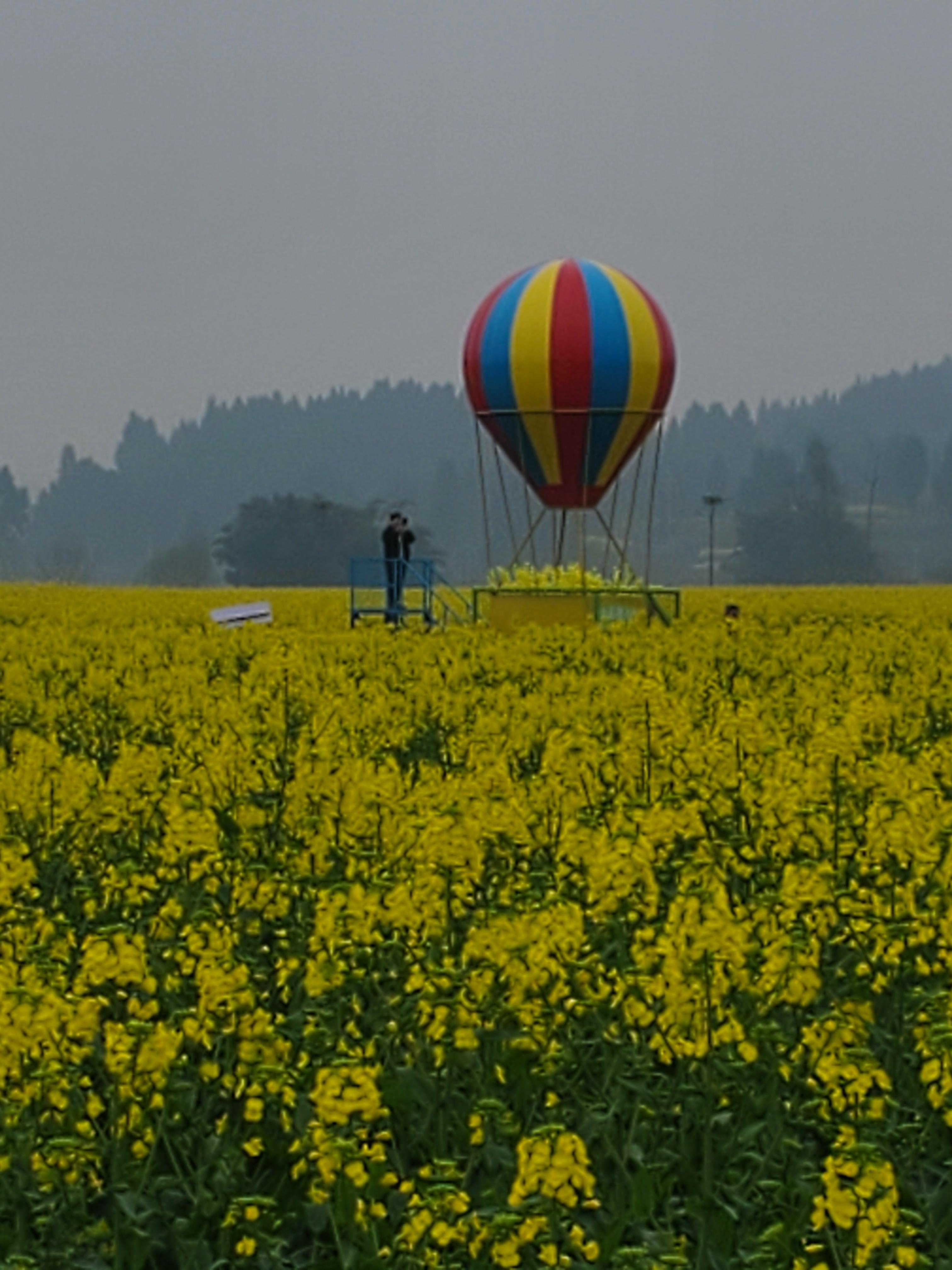 潼南油菜花节打卡