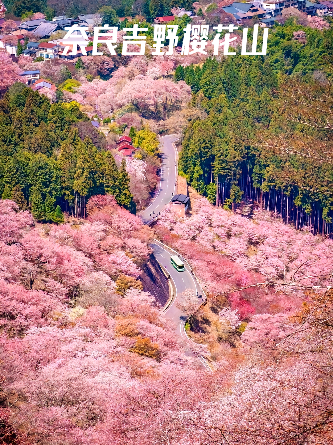 的想法: 日本第一樱花胜地吉野山
