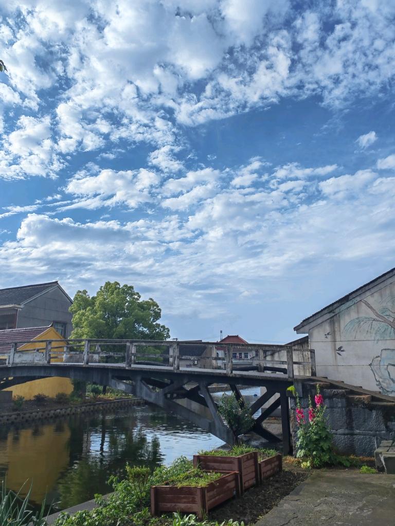 cassie千筱 的想法: 美丽的嘉兴家乡美景图 | 一张是王江泾镇的俯视图