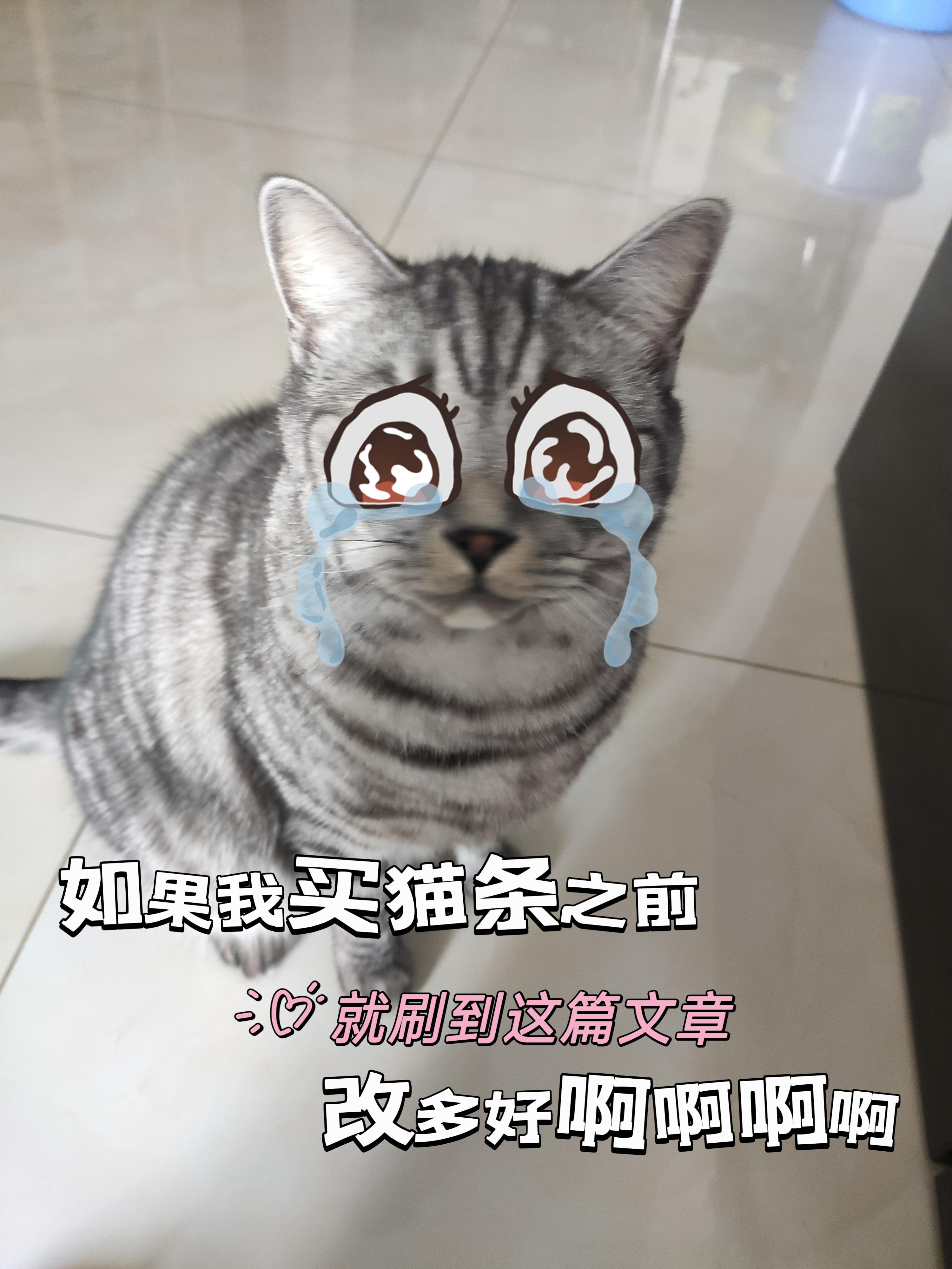 记得之前刚养猫给猫咪买吃的那会