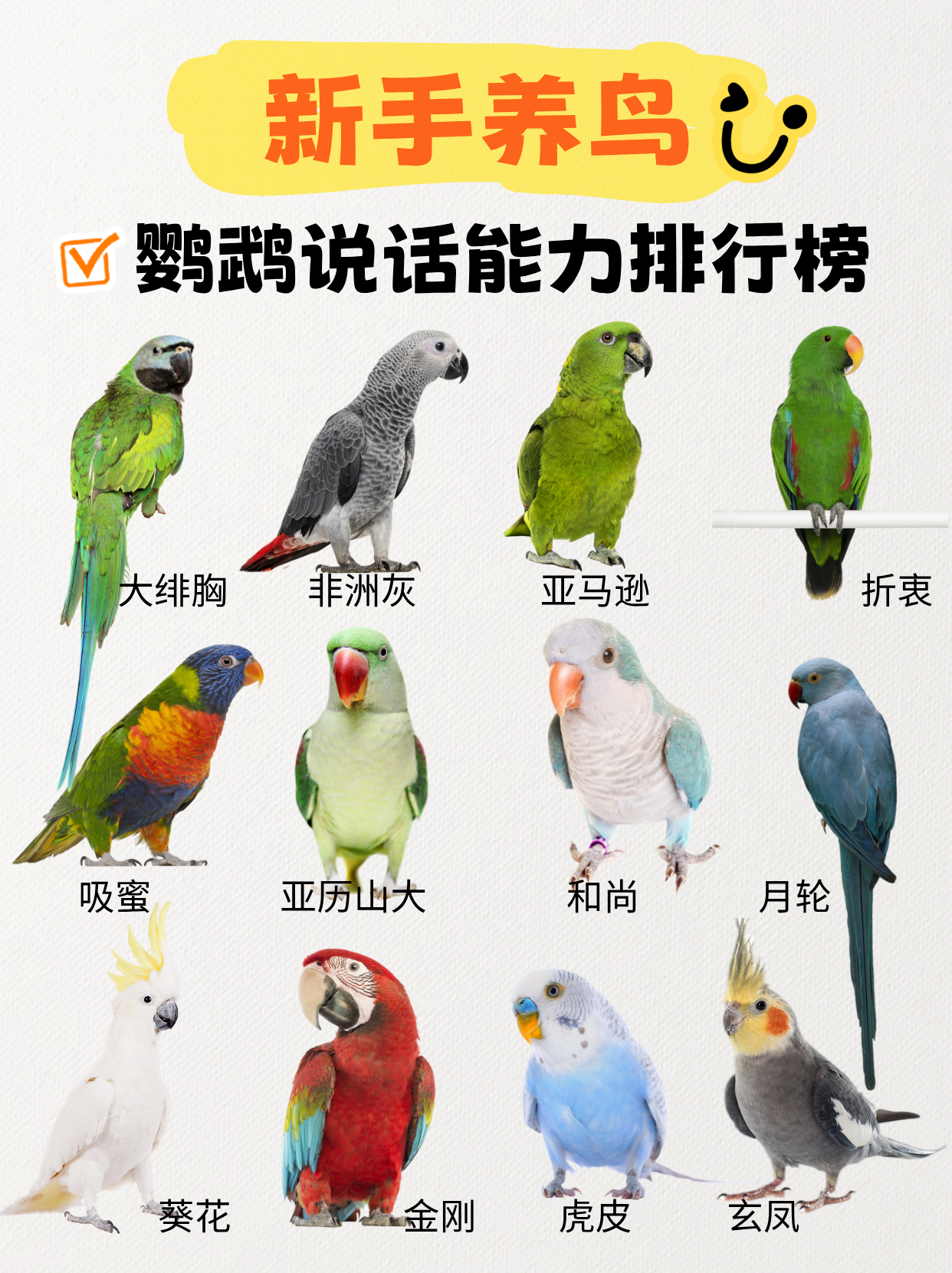 甜甜是只汪 的想法: 会说话的鹦鹉品种大全