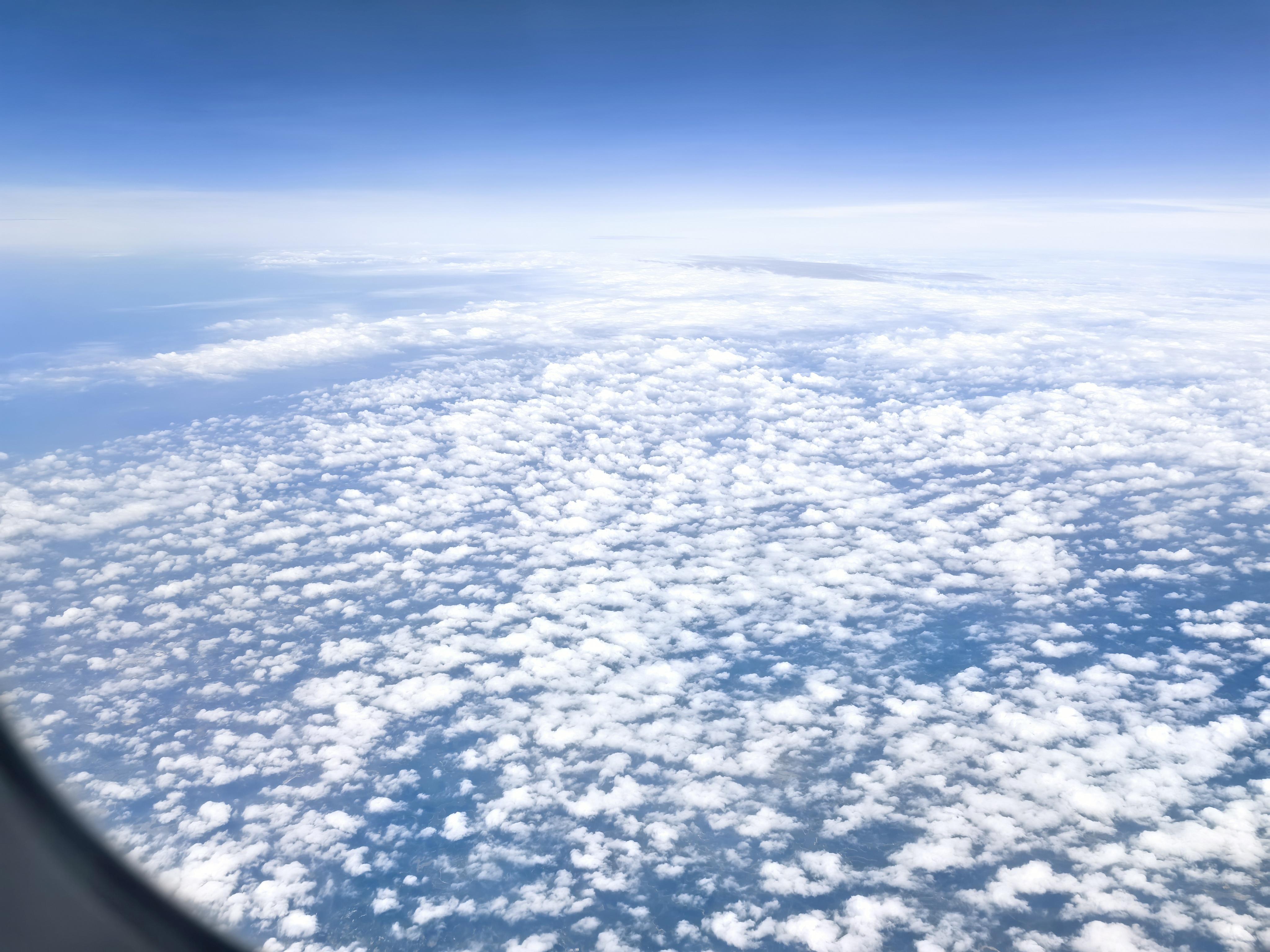 自由只缺一点勇气 的想法: 棉花糖