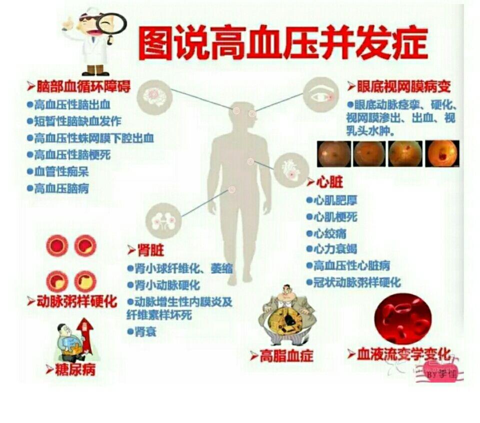 为什么血压偏高