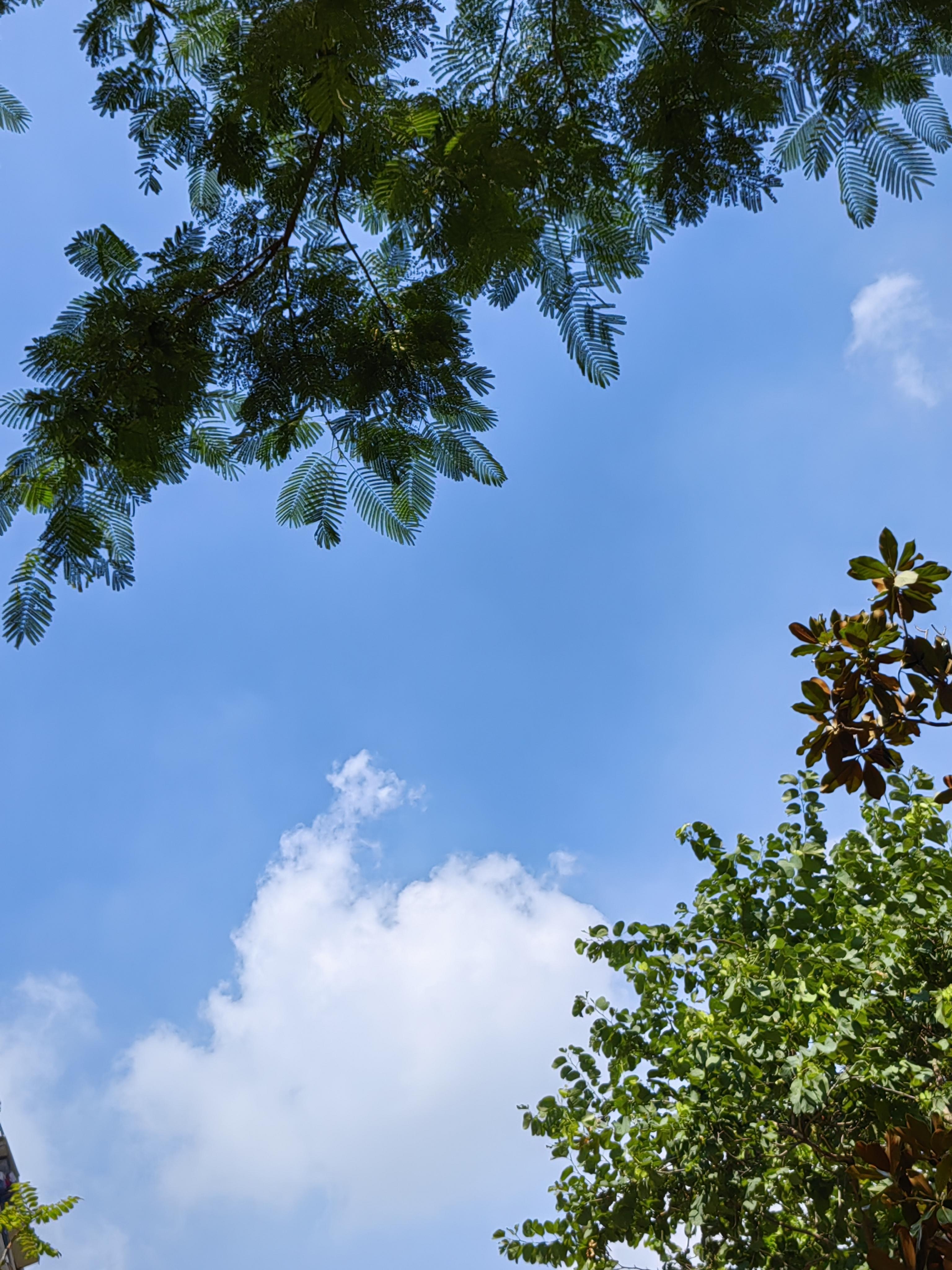 海云雁 的想法: #意境天空照片 我拍了太多天空的照片,感觉每一张都