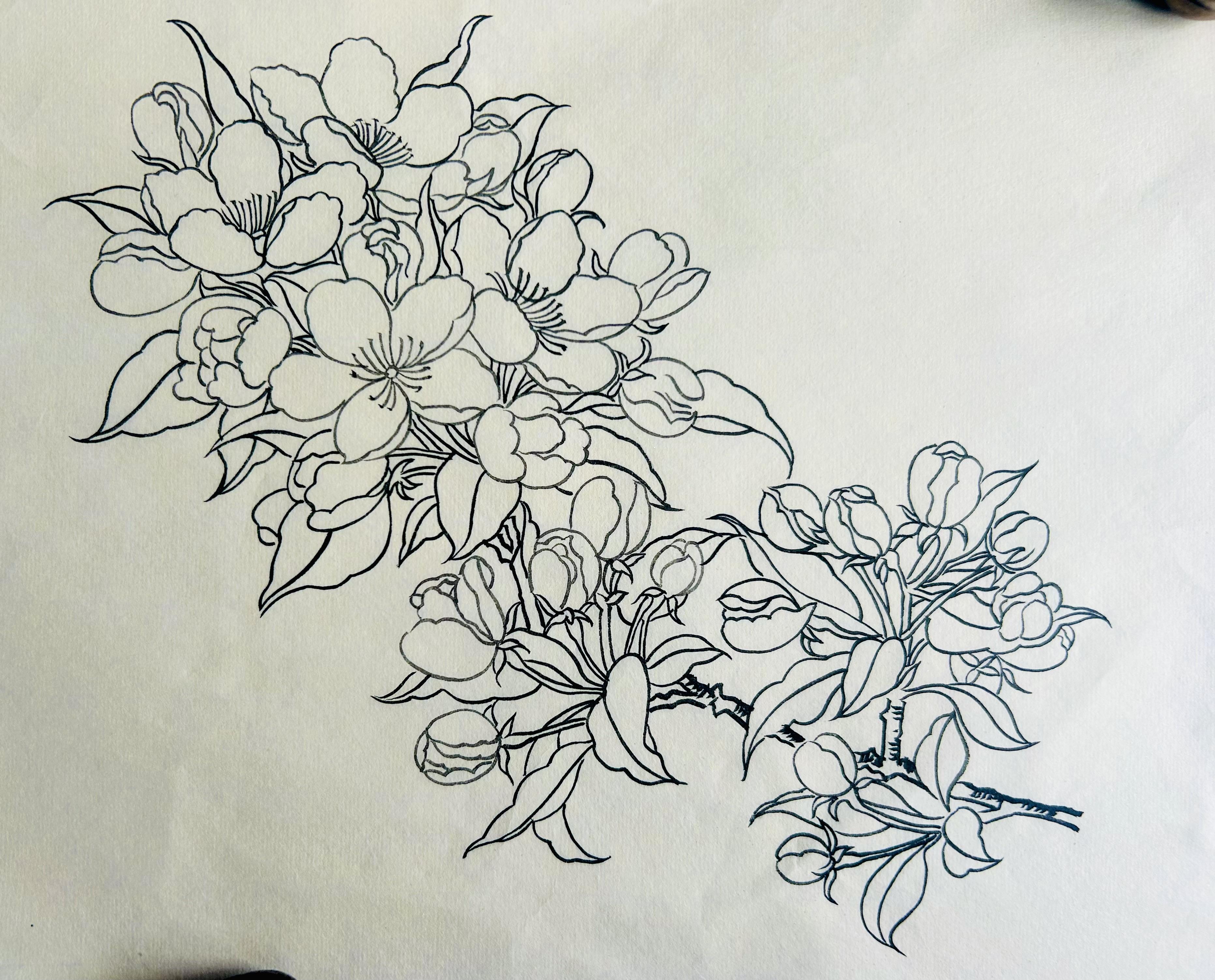 静观斋 的想法: 国画花鸟白描练习十三