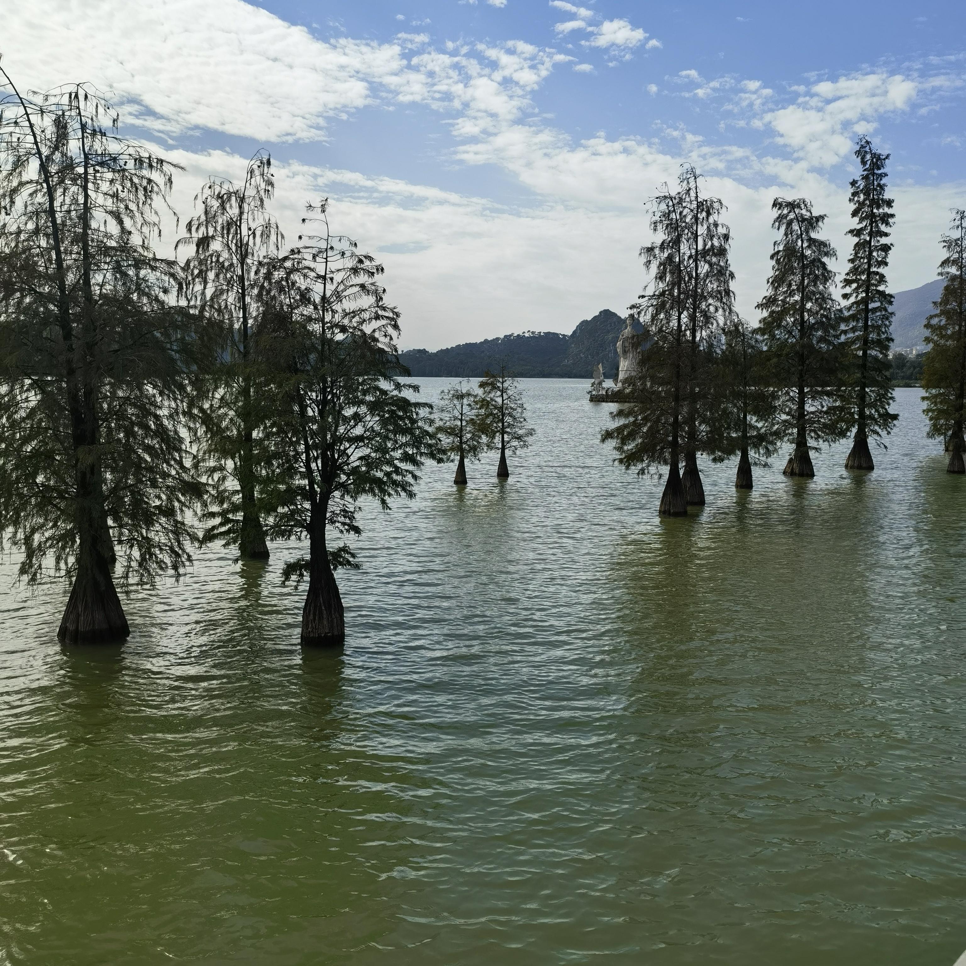 肇庆湿地公园简介图片