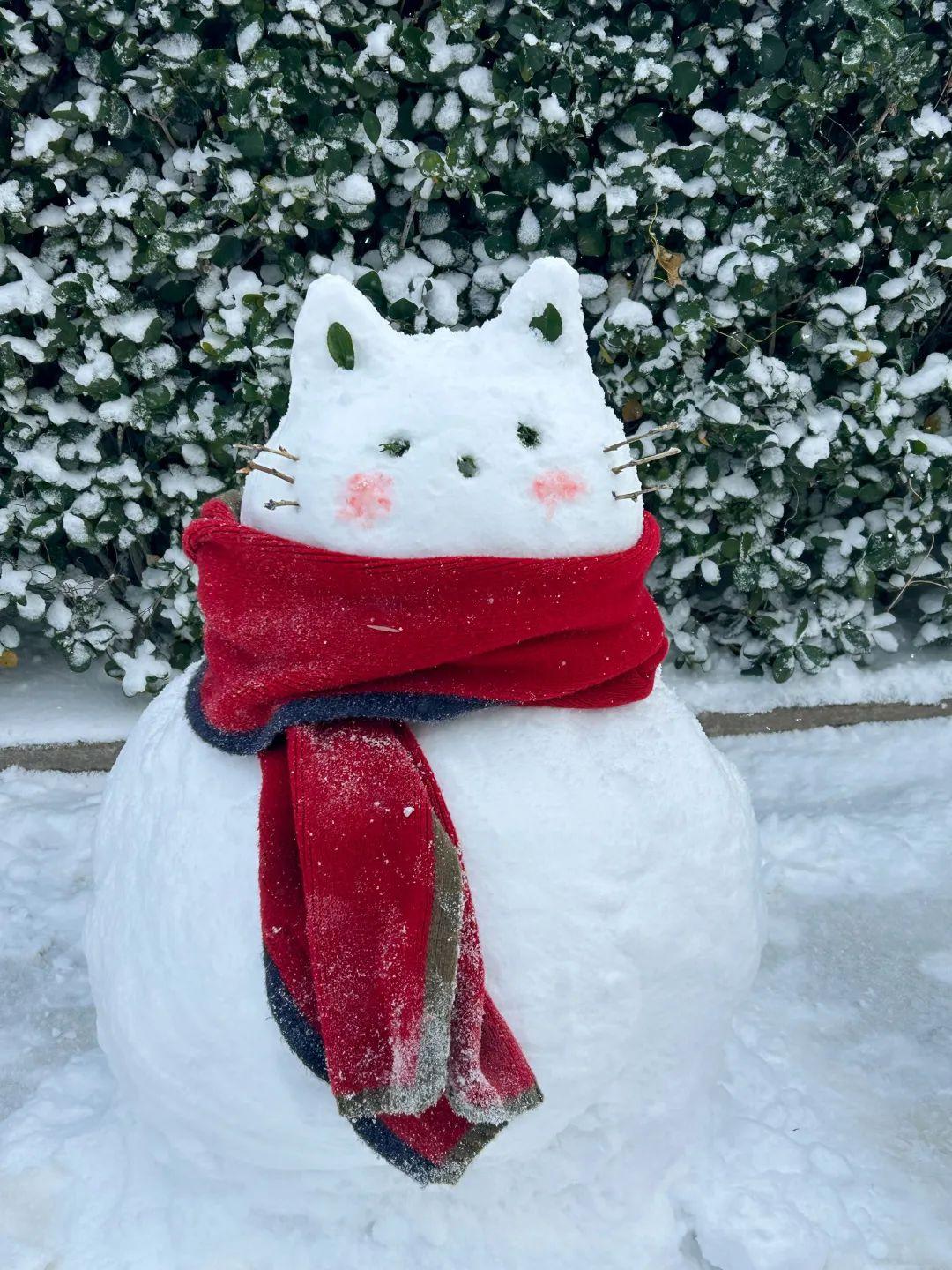 擦掌躍躍欲試戴上帽子拿起手套天馬行空創意無限雪人造型大賞現在開始