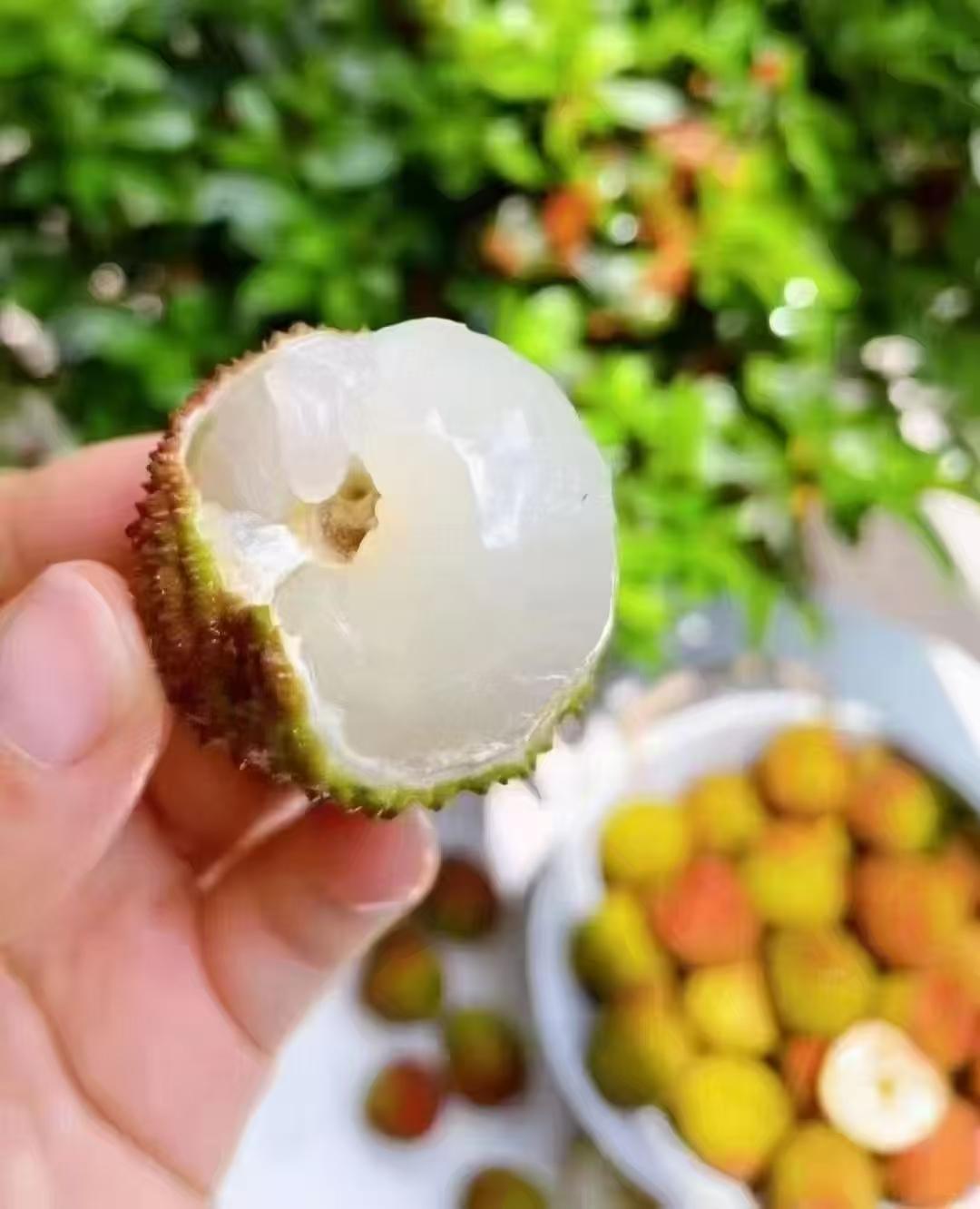 零丁 的想法: 如果你是《长安的荔枝》里的荔枝使,你能把荔枝送到长安吗?作为职场人,李善德做对了什么又做错了什么?… - 知乎