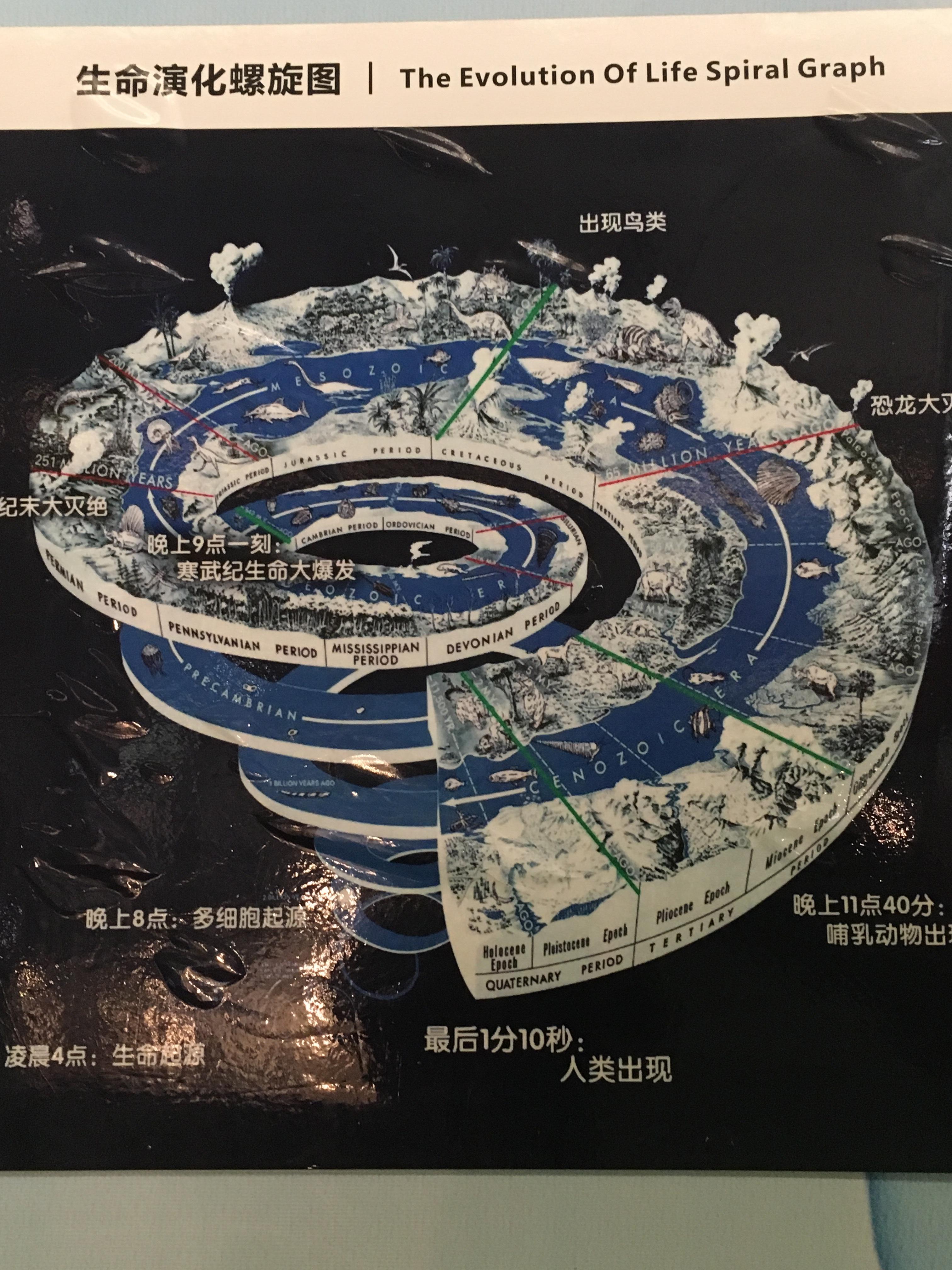 人工智能ai会希望人类长生不老吗作为一款人工智能ai