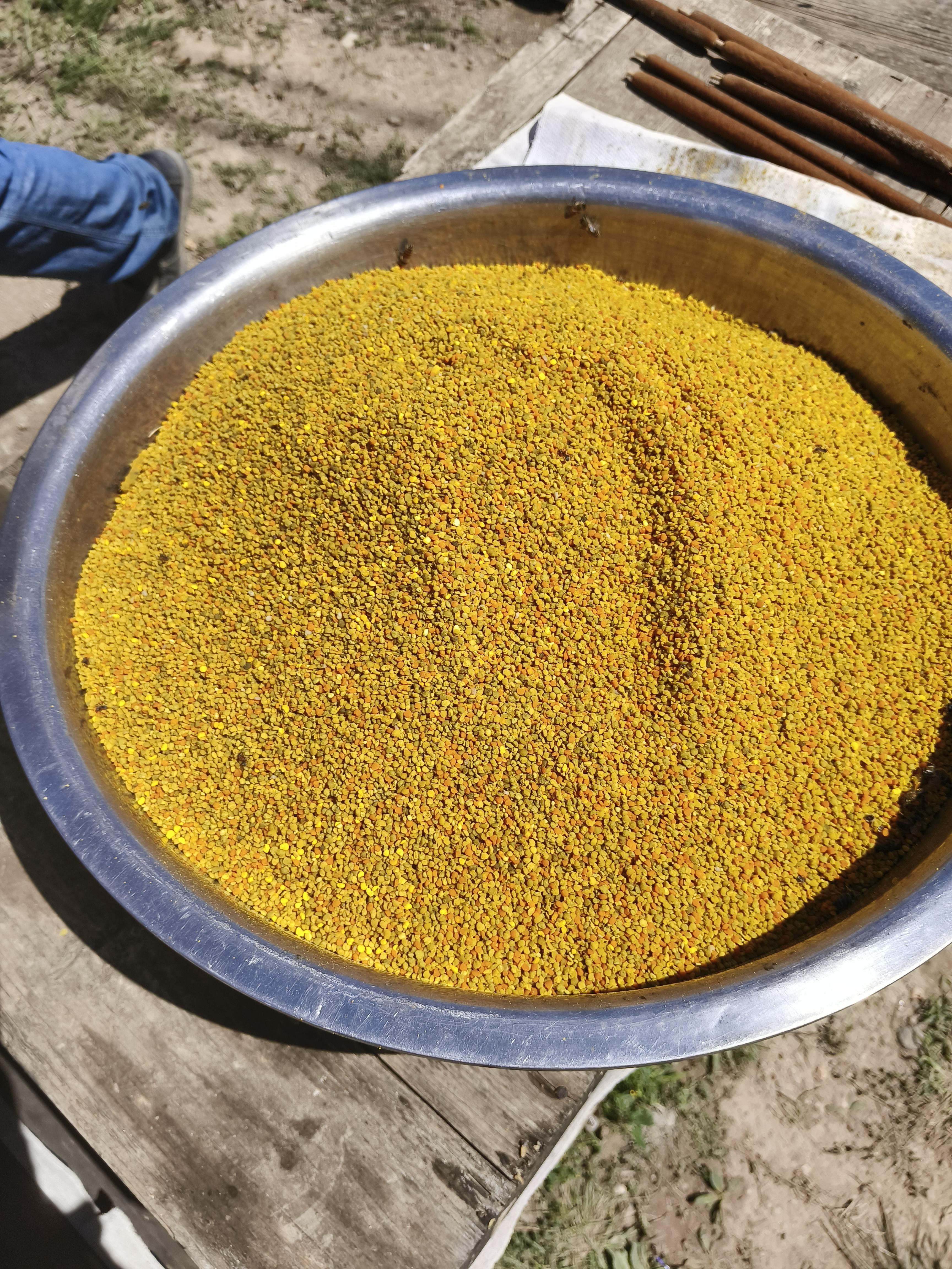 有结节的人能吃蜂花粉吗(有结节的人能吃蜂花粉吗女性) 有结节的人能吃蜂花粉吗(有结节的人能吃蜂花粉吗女性)