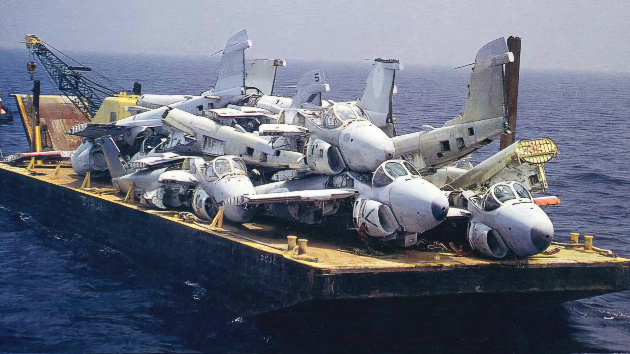 的想法: 佛罗里达州的入侵者礁