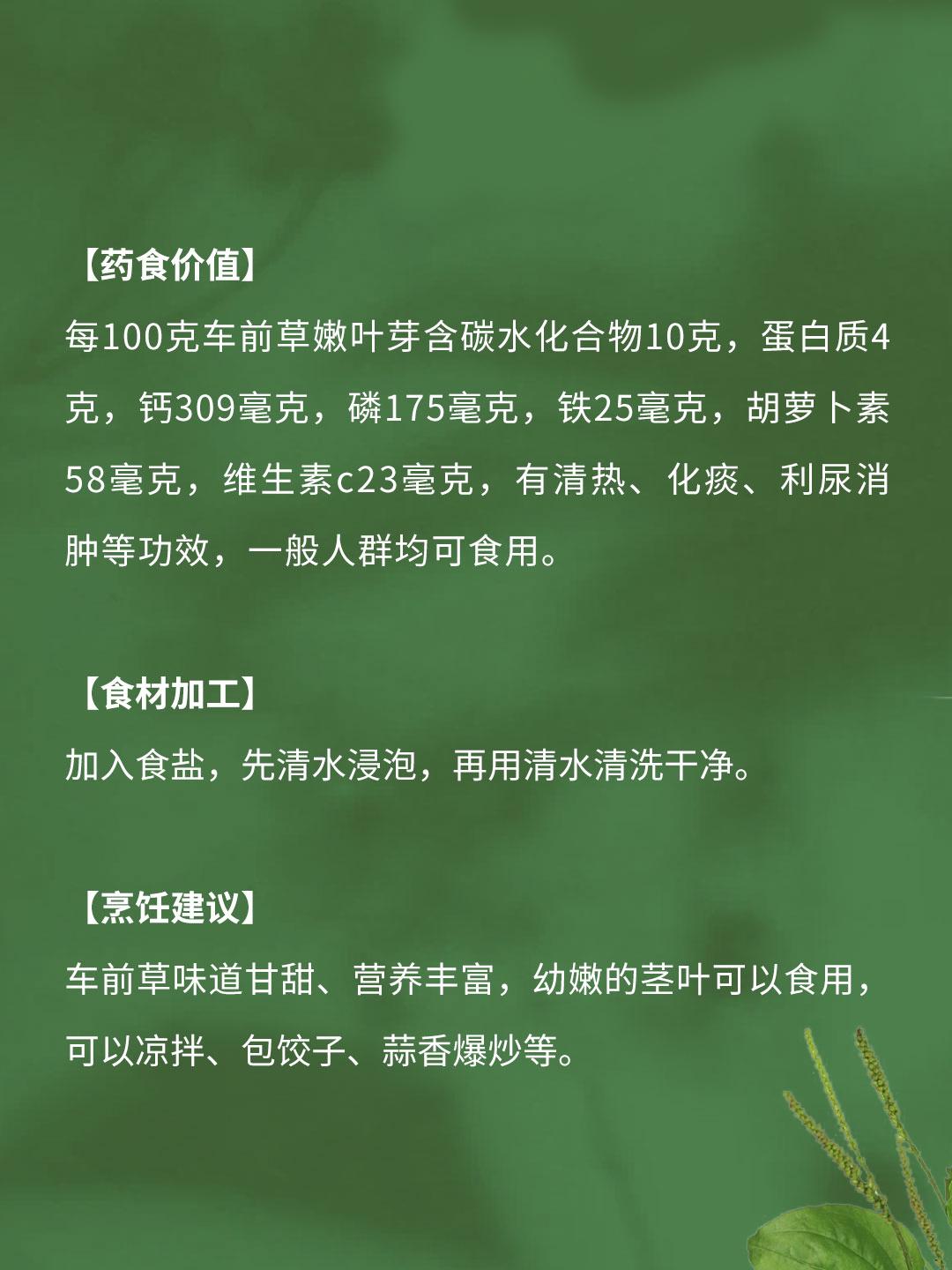 春季三月到五月