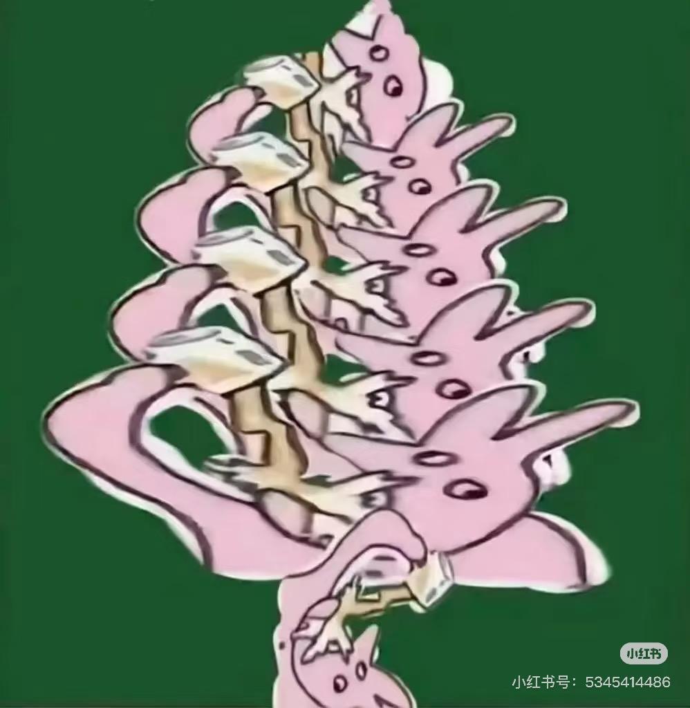 关于==================================================的信息