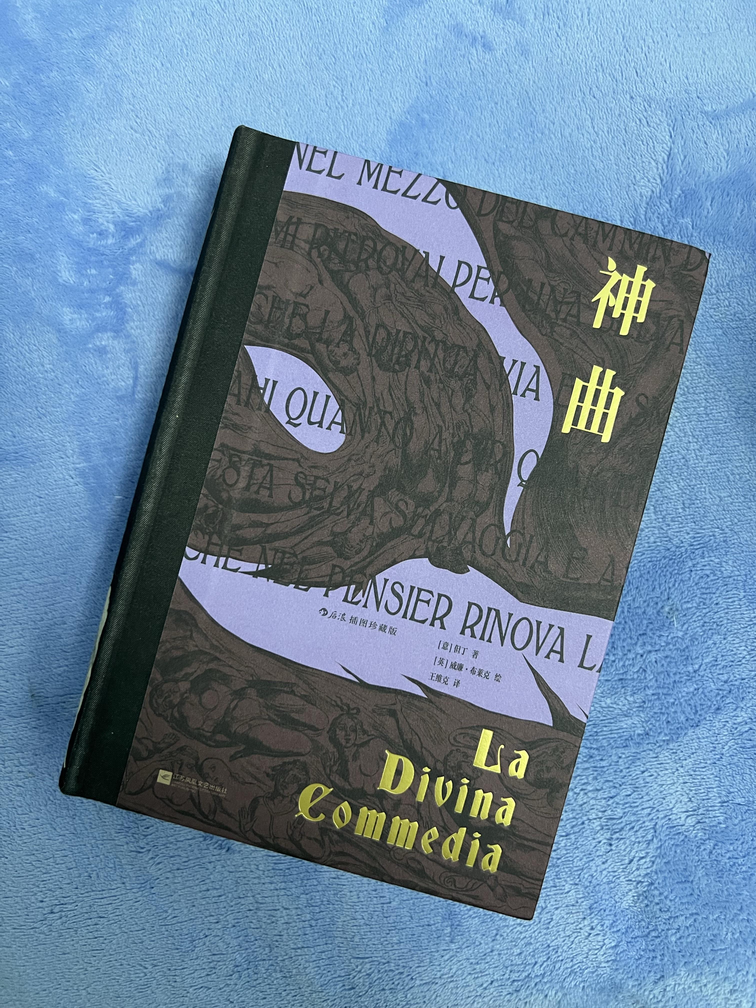 后浪又出经典,不愧是专业的