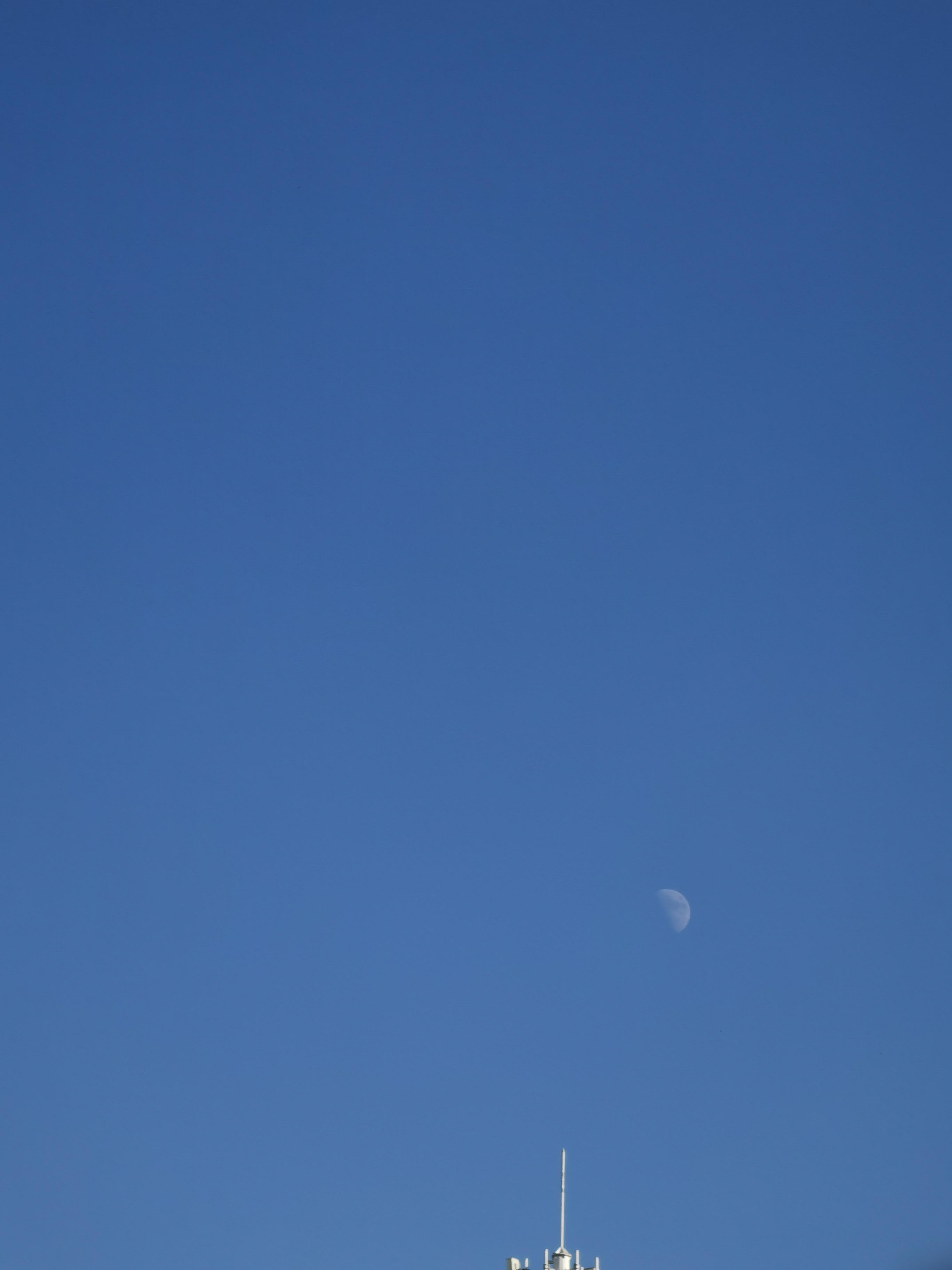 七七不爱哭 的想法: 昨天下午三点多抬头看天,天空很蓝,月亮早早的就