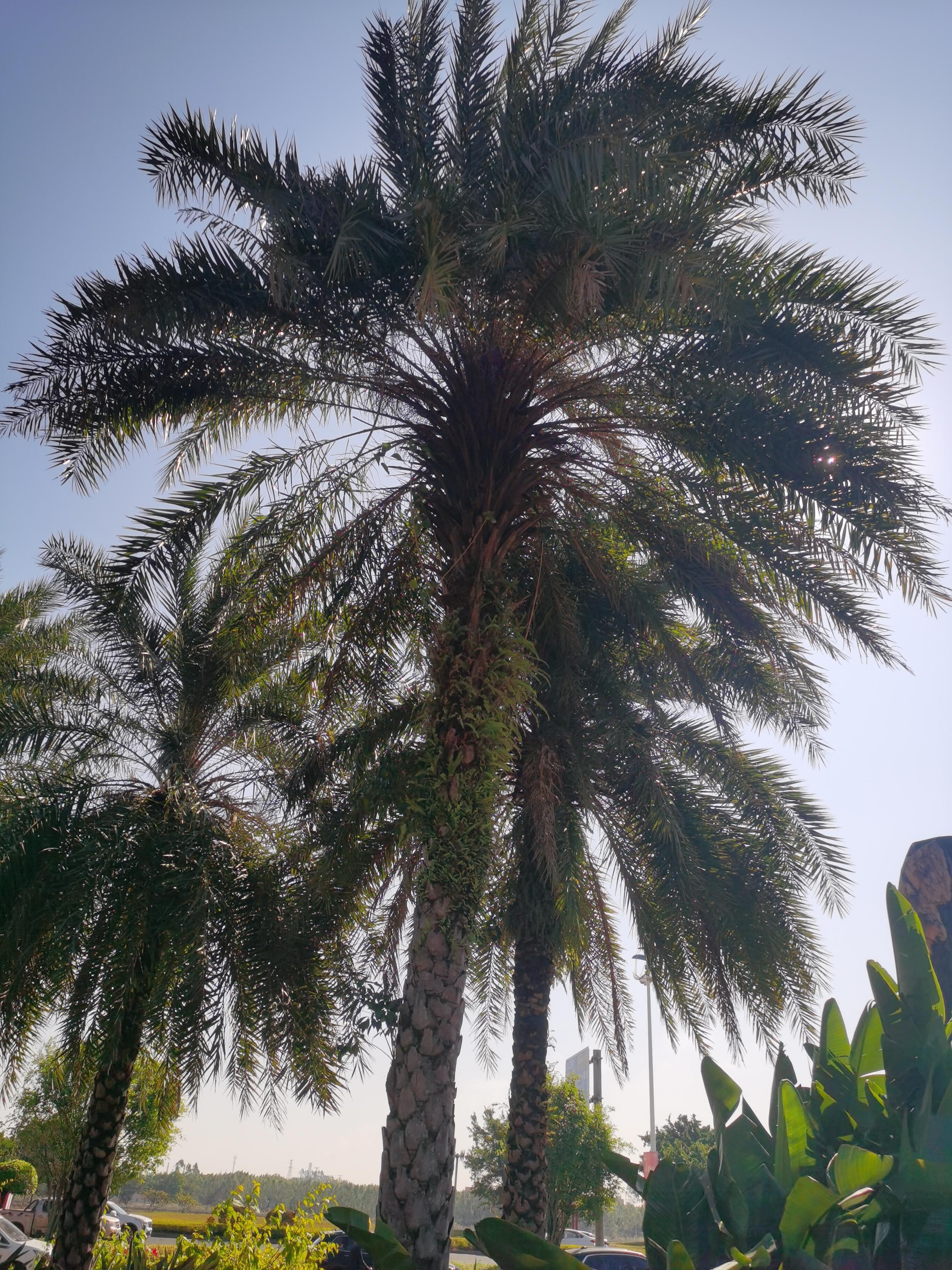 第五年 的想法: 爱自己多一点