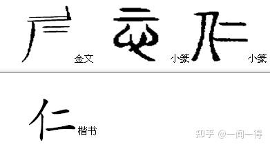 无心无得 的想法: 汉字“仁”的起源与演变 | 汉字“仁”的起源与演变--- 1. 最早的“仁”字是战国时期才出现的? - 商朝… - 知乎